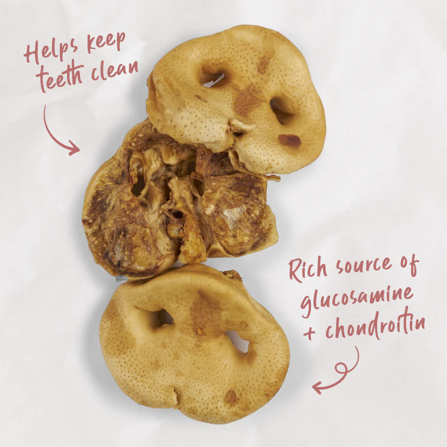 Puffy Pig Snout Dog Treats - Image 3