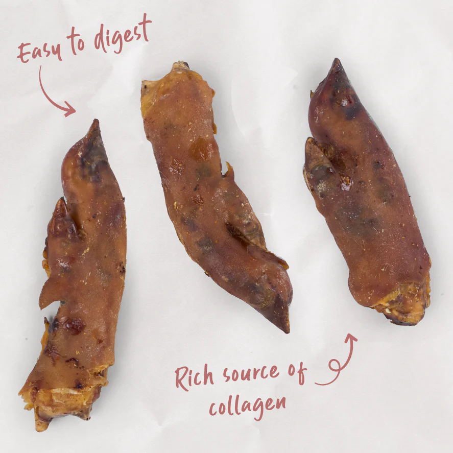 Pig Trotter Dog Treats - Image 3