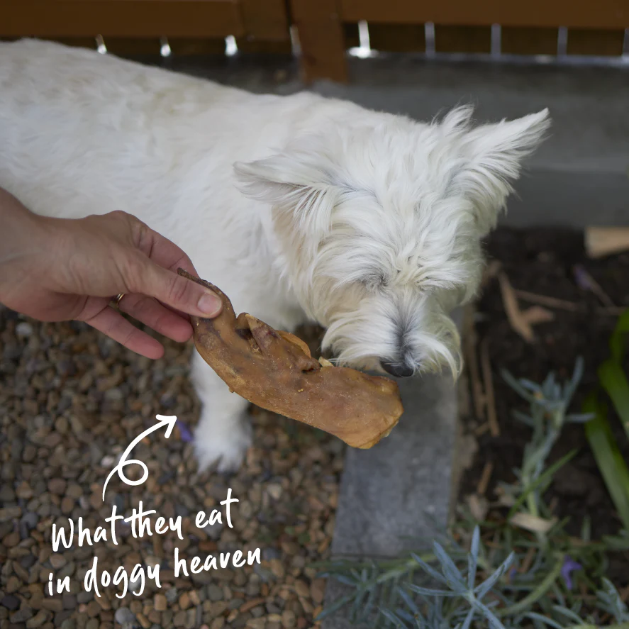 Pig Trotter Dog Treats - Image 5