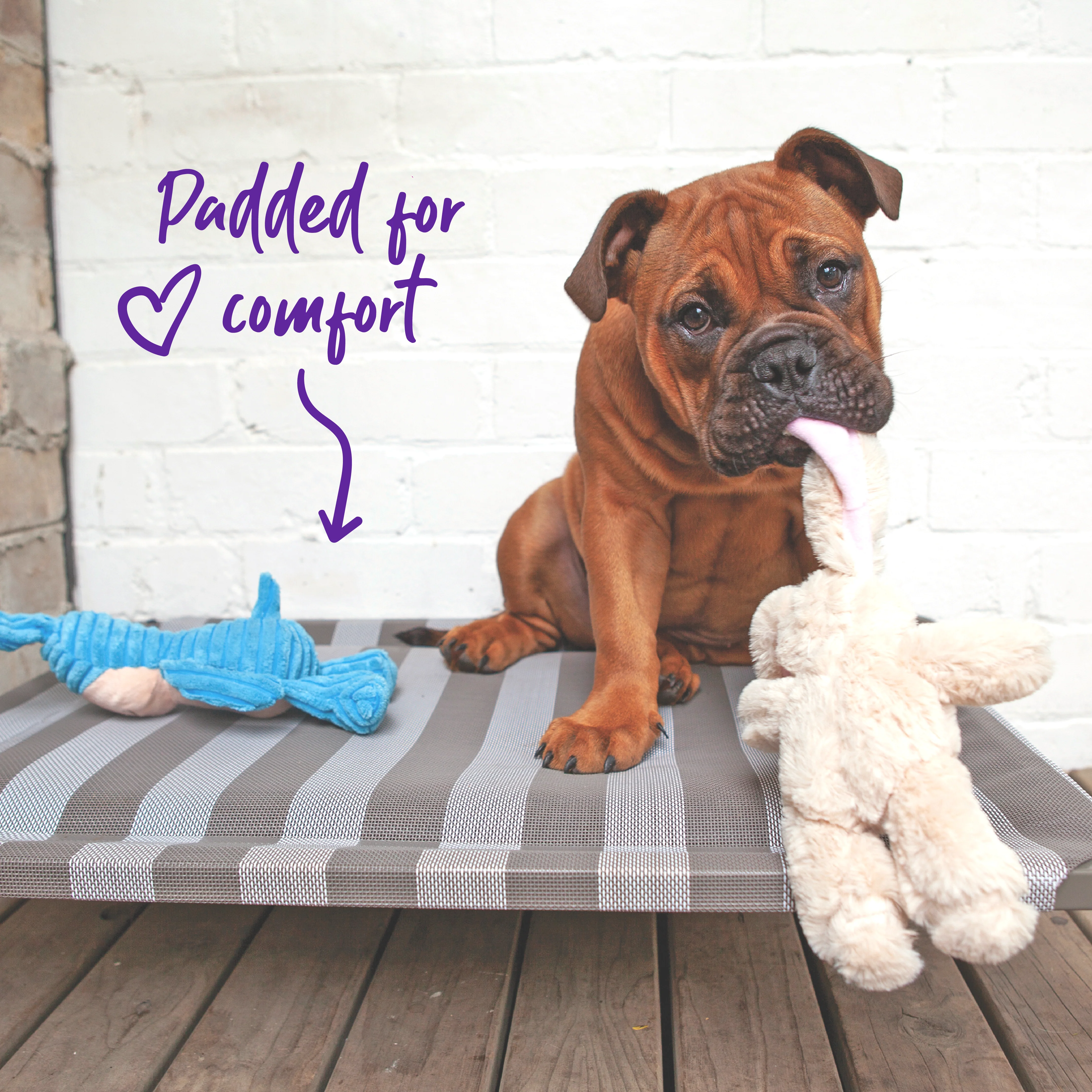 Pillow Top Outdoor Dog Bed - Striped - Image 4