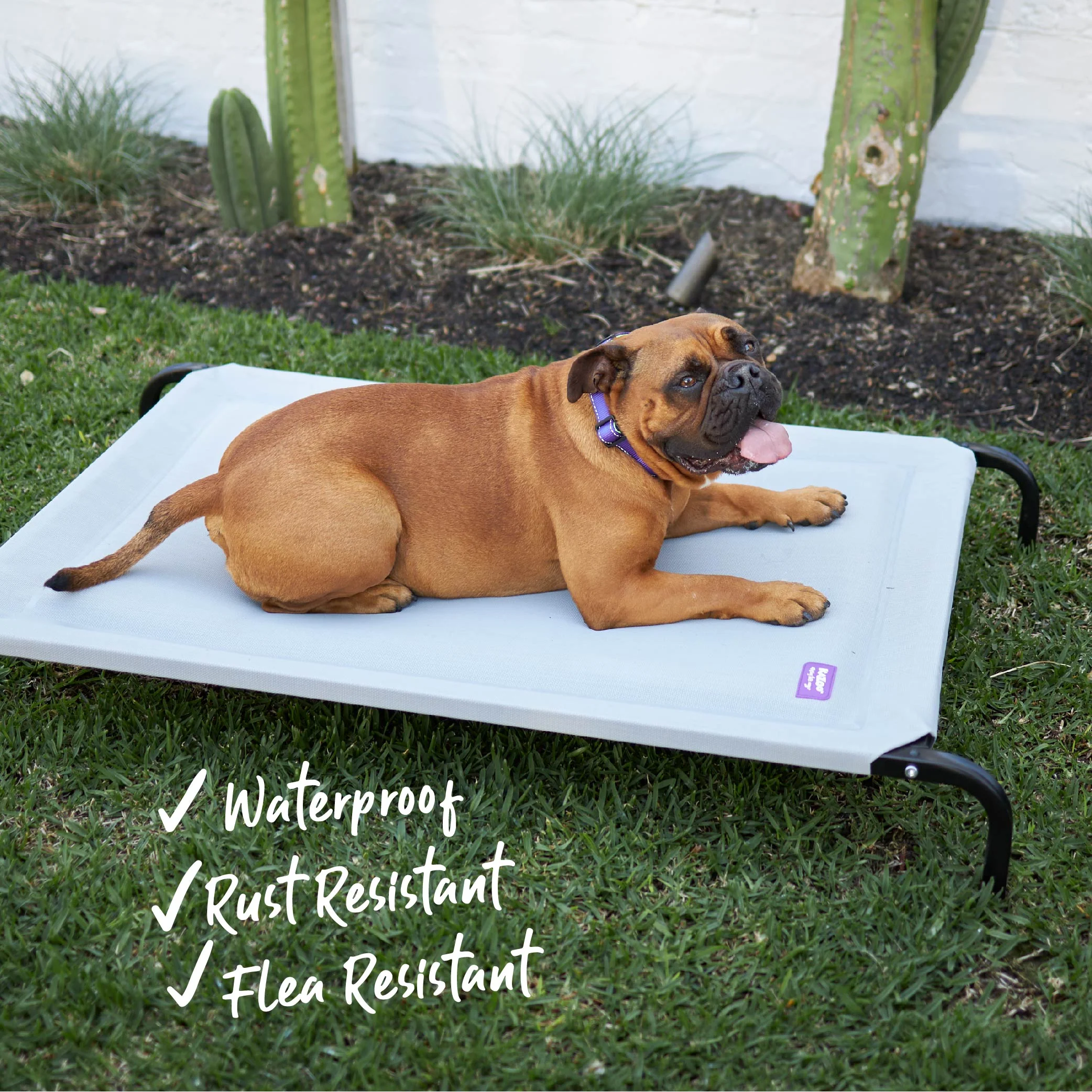Pillow Top Outdoor Dog Bed - Ash Grey - Image 3