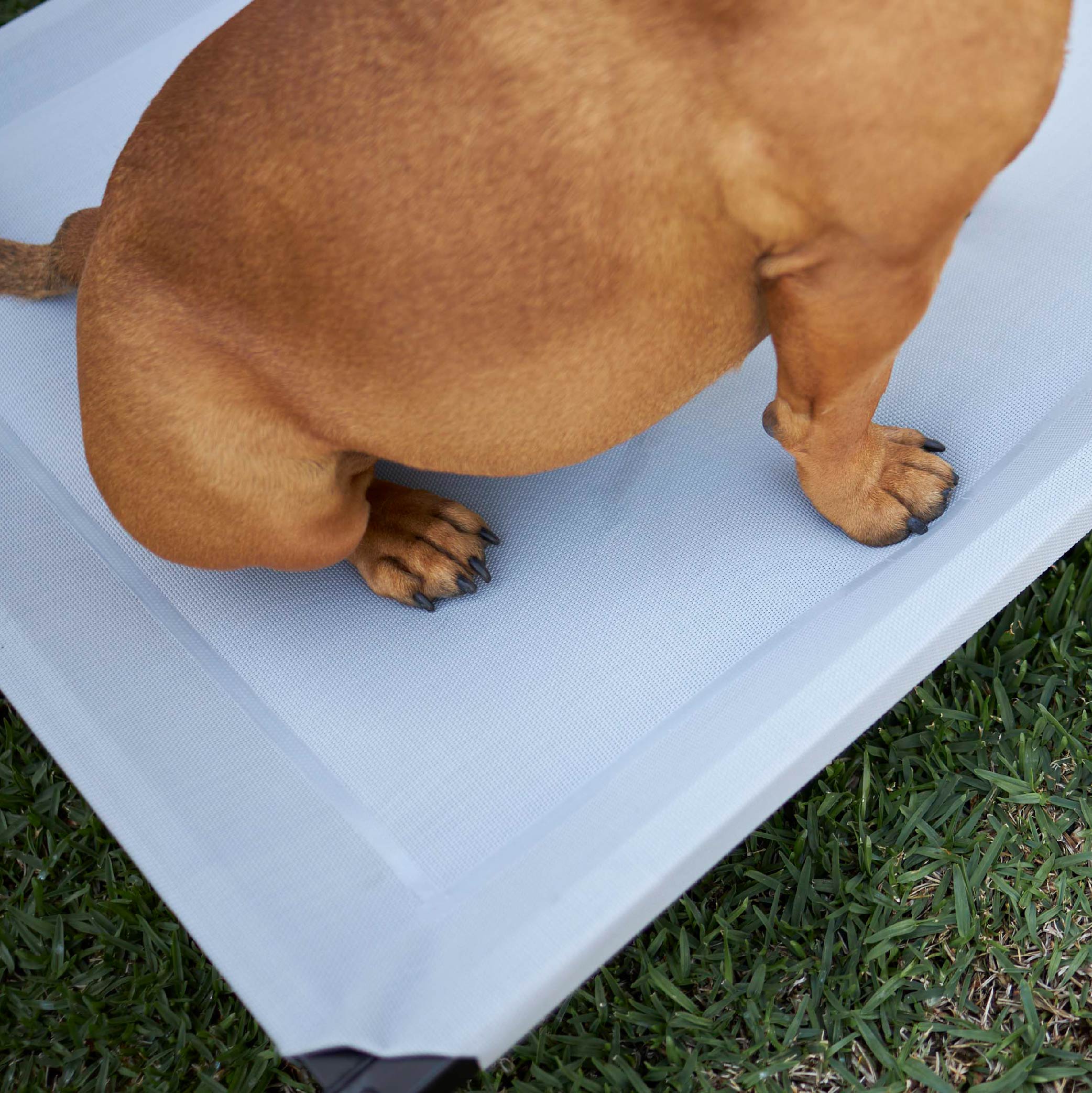 Pillow Top Outdoor Dog Bed - Ash Grey - Image 5