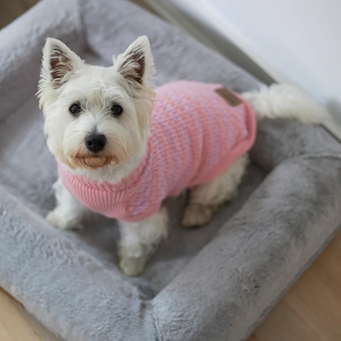 Pink Posy Dog Jumper - Image 10