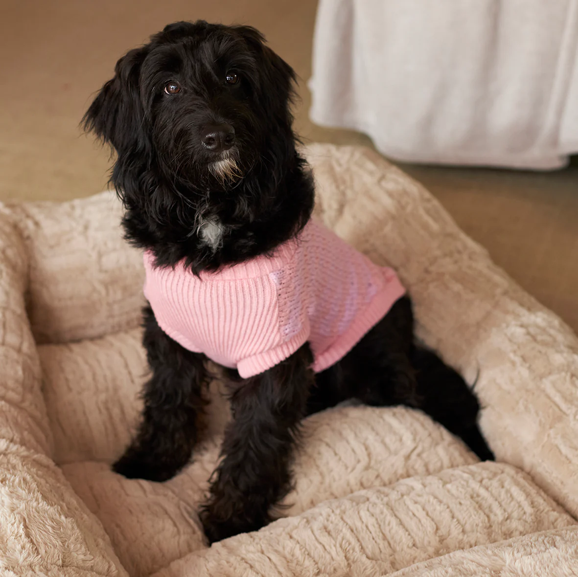 Pink Posy Dog Jumper - Image 3