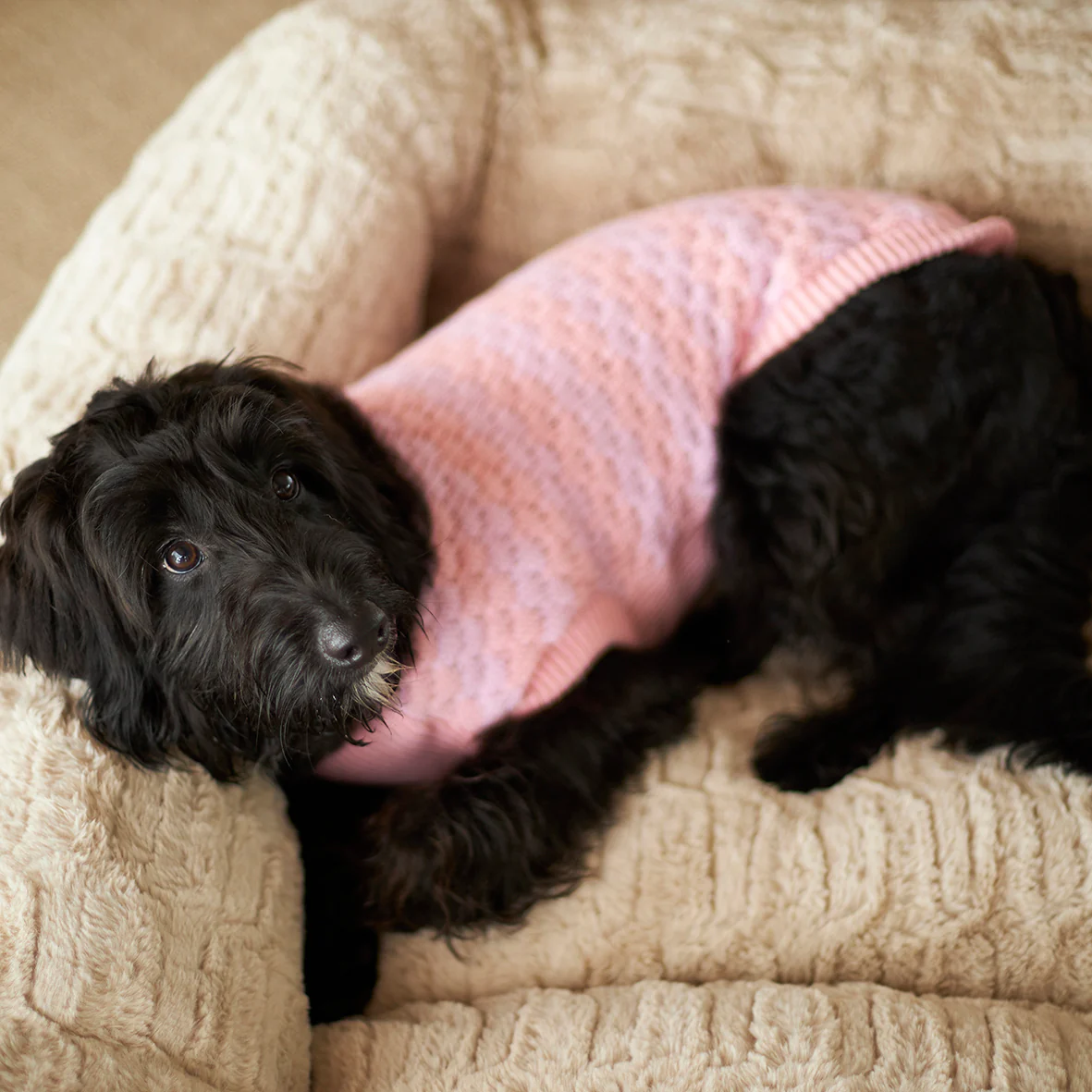 Pink Posy Dog Jumper - Image 4