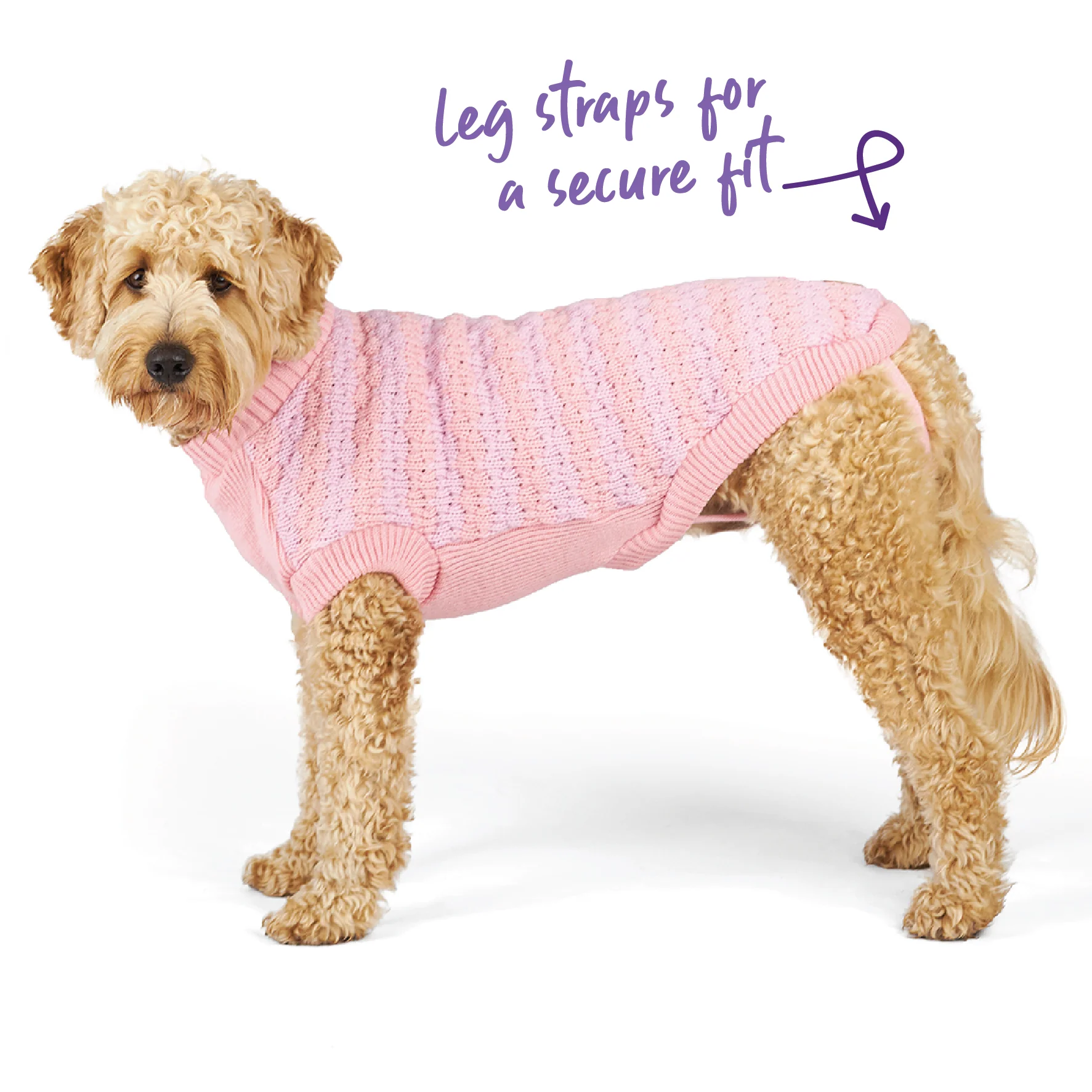 Pink Posy Dog Jumper - Image 6