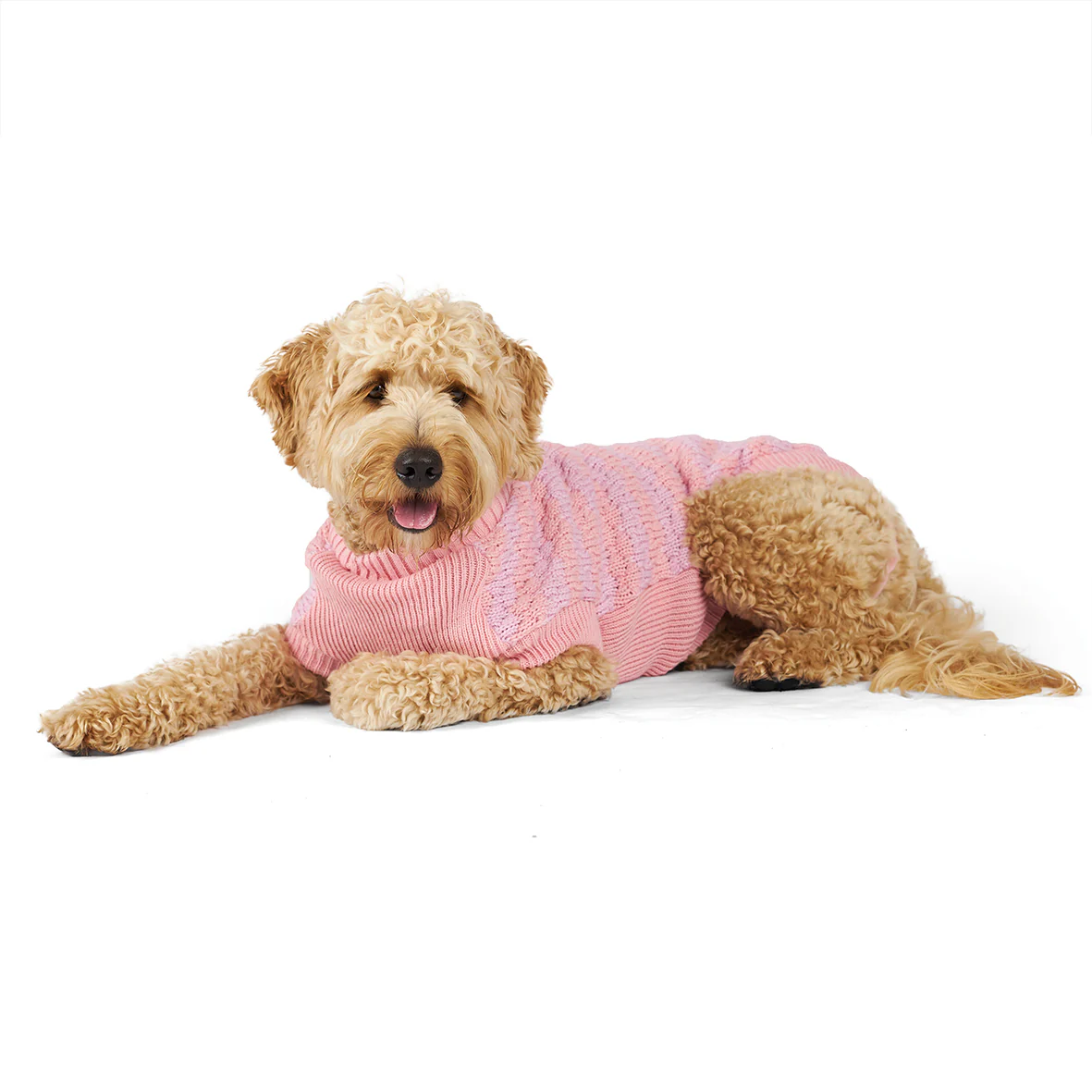 Pink Posy Dog Jumper - Image 9