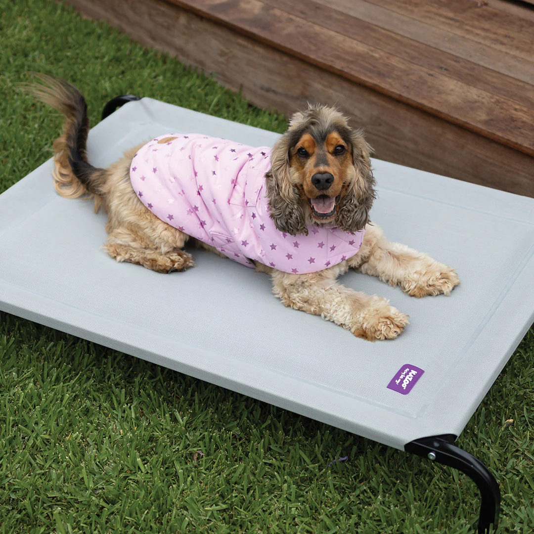 Pink Star Soft Dog Jacket - Image 4