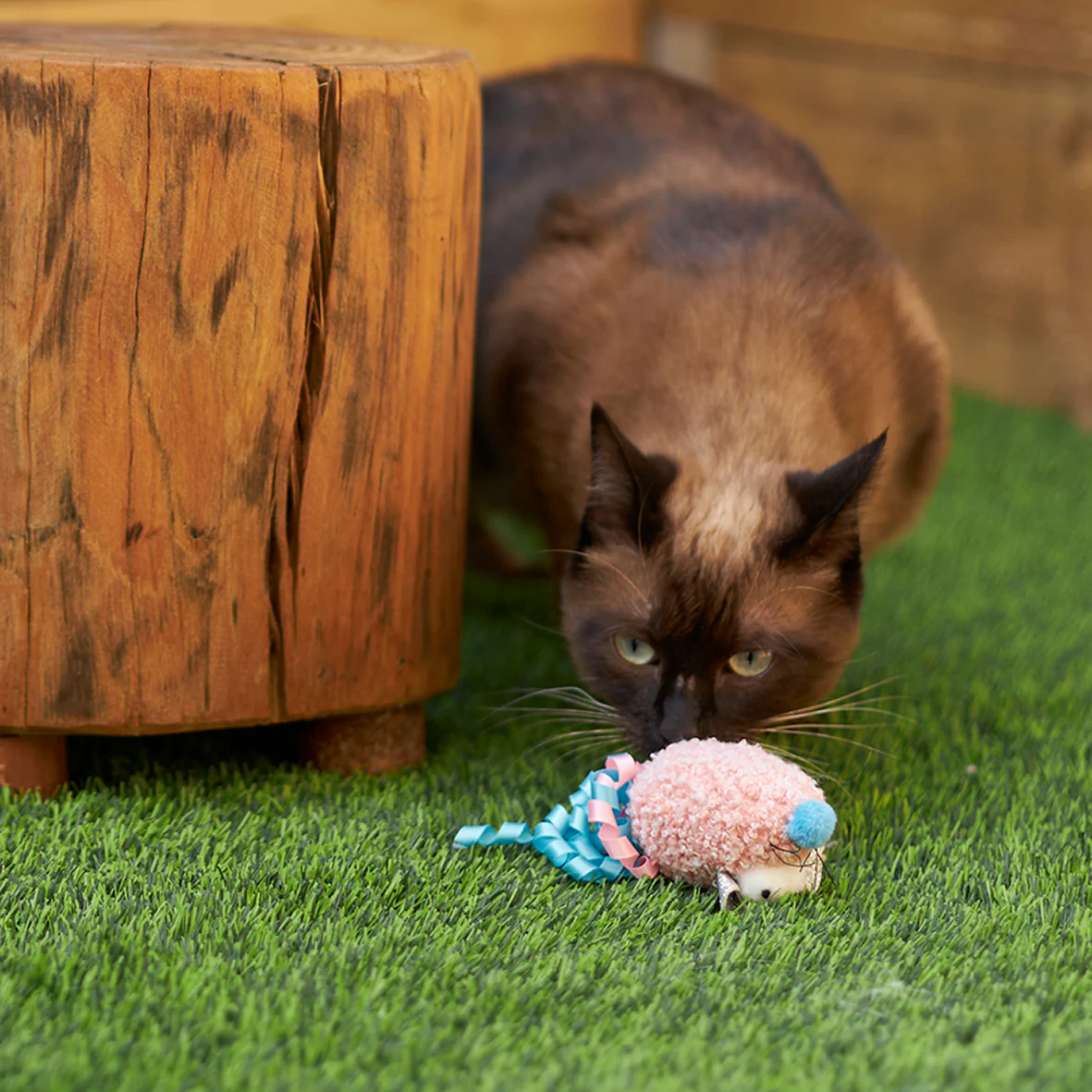 Pinky Mouse with sound chip and catnip - Image 5