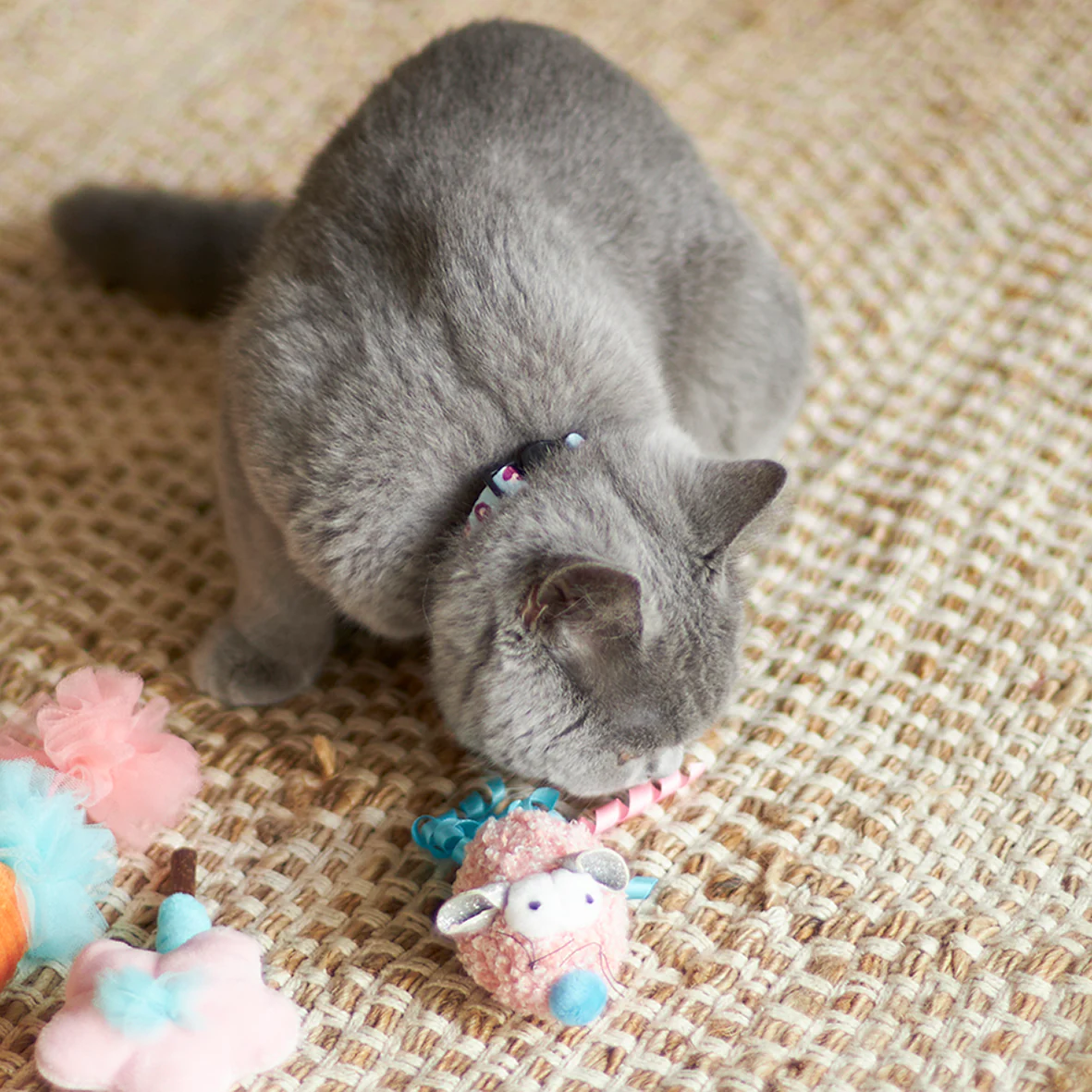Pinky Mouse with sound chip and catnip - Image 6