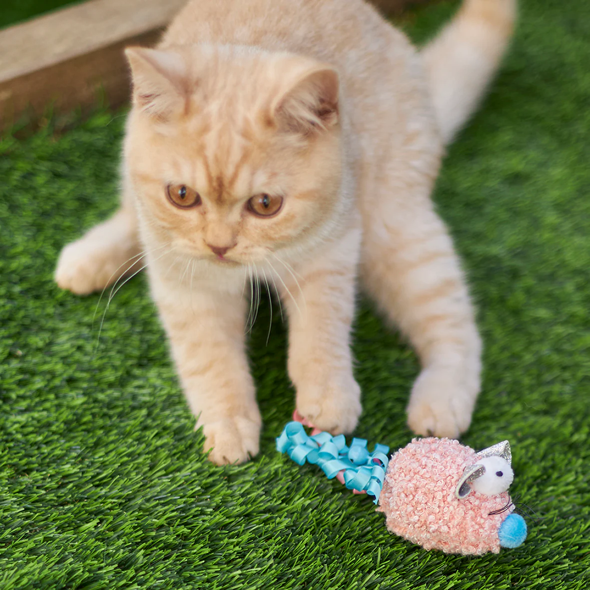 Pinky Mouse with sound chip and catnip - Image 7