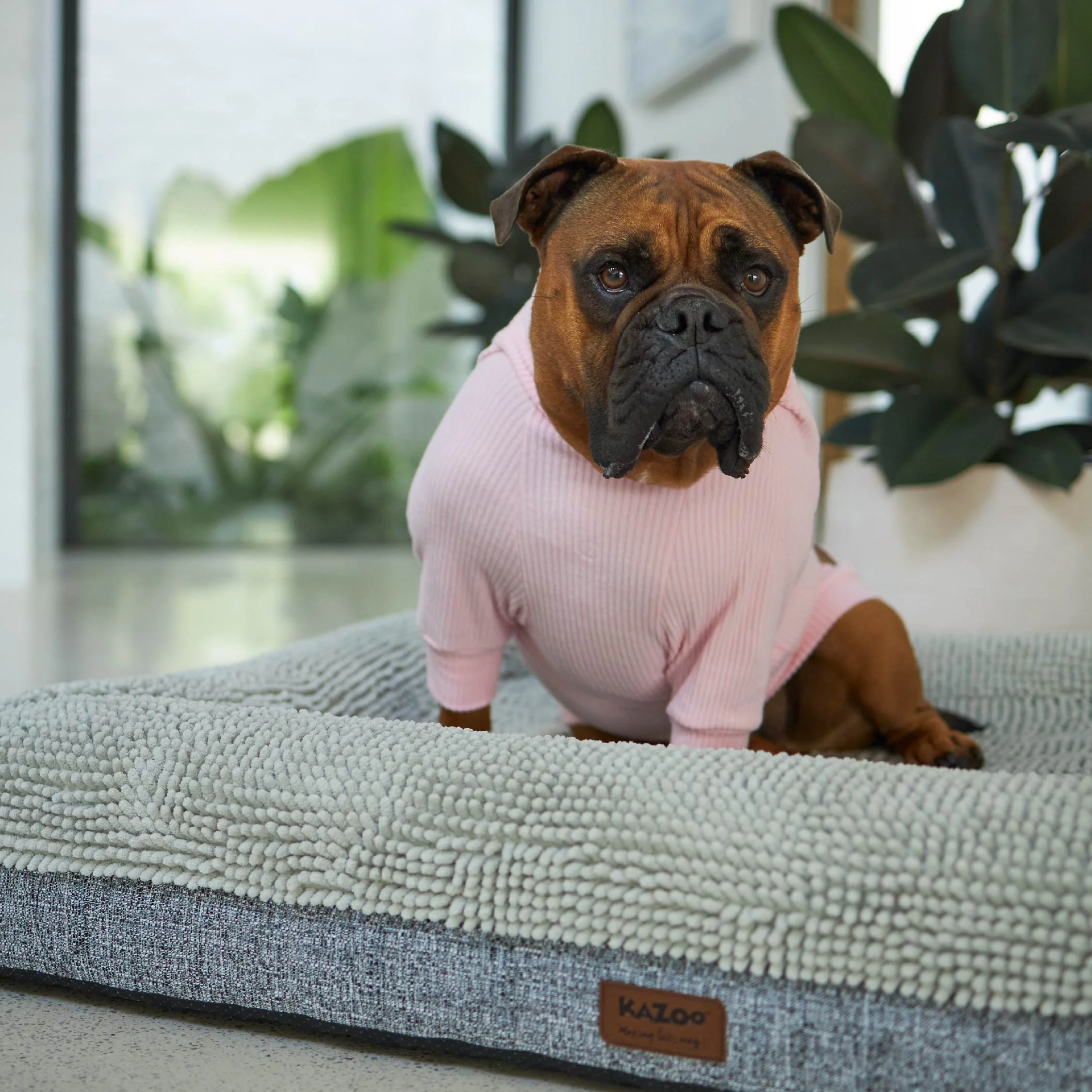 Pooch Dog Pyjamas - Pink - Image 10