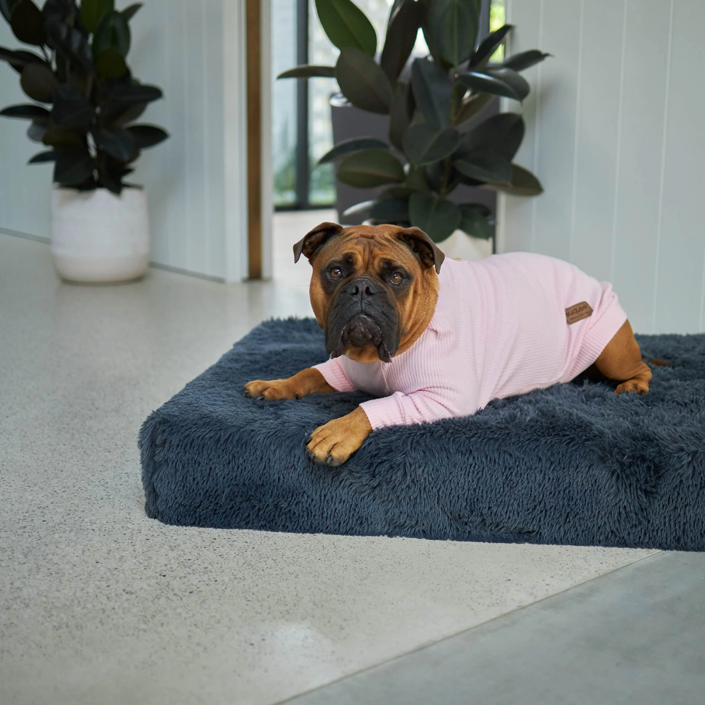 Pooch Dog Pyjamas - Pink - Image 12