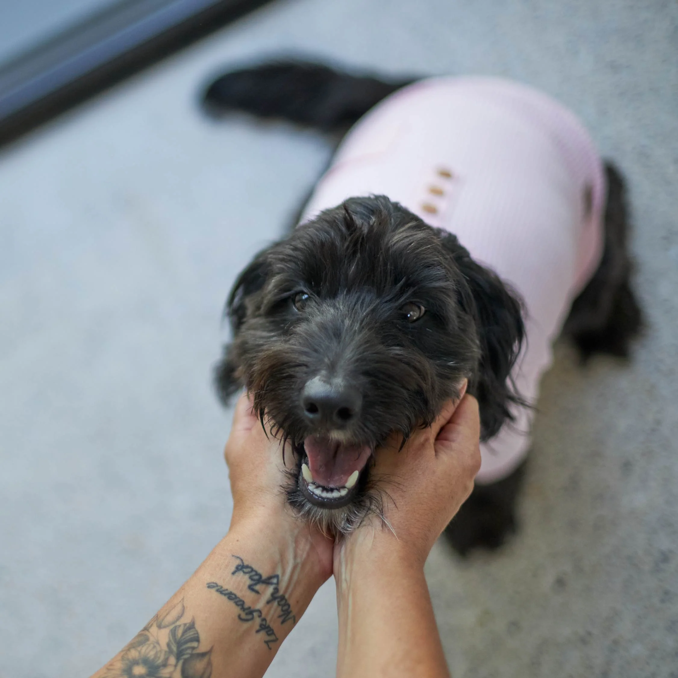 Pooch Dog Pyjamas - Pink - Image 6