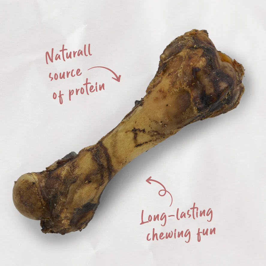 Aussie Pork Bone Dog Treats - Image 3
