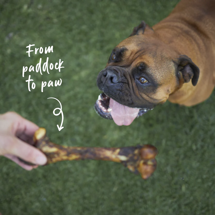 Aussie Pork Bone Dog Treats - Image 5