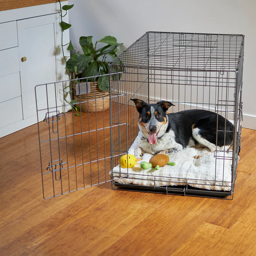 Premium Dog Crate - Image 3