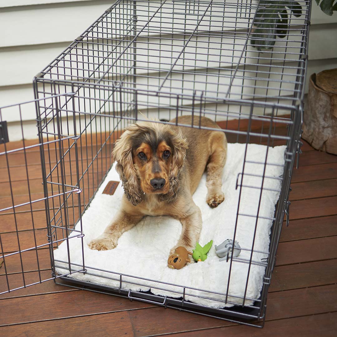 Premium Dog Crate - Image 4