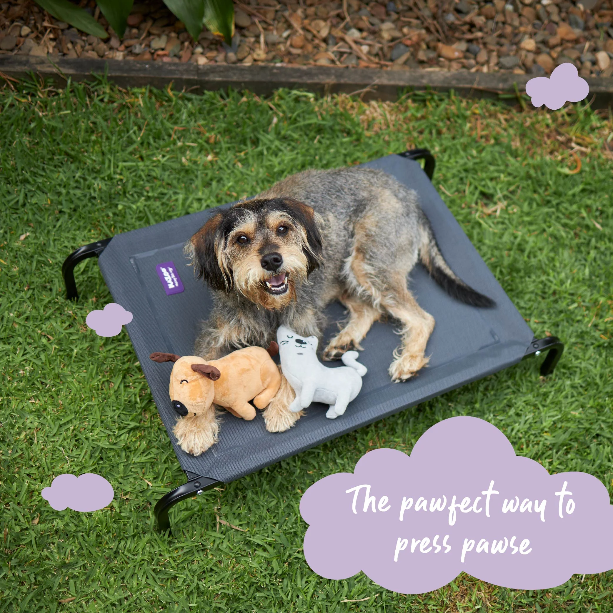 Premium Outdoor Dog Bed - Charcoal - Image 10