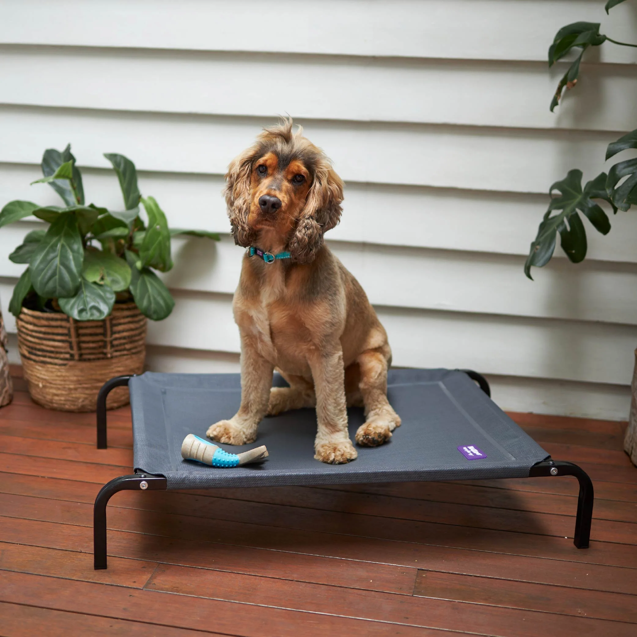 Premium Outdoor Dog Bed - Charcoal - Image 11