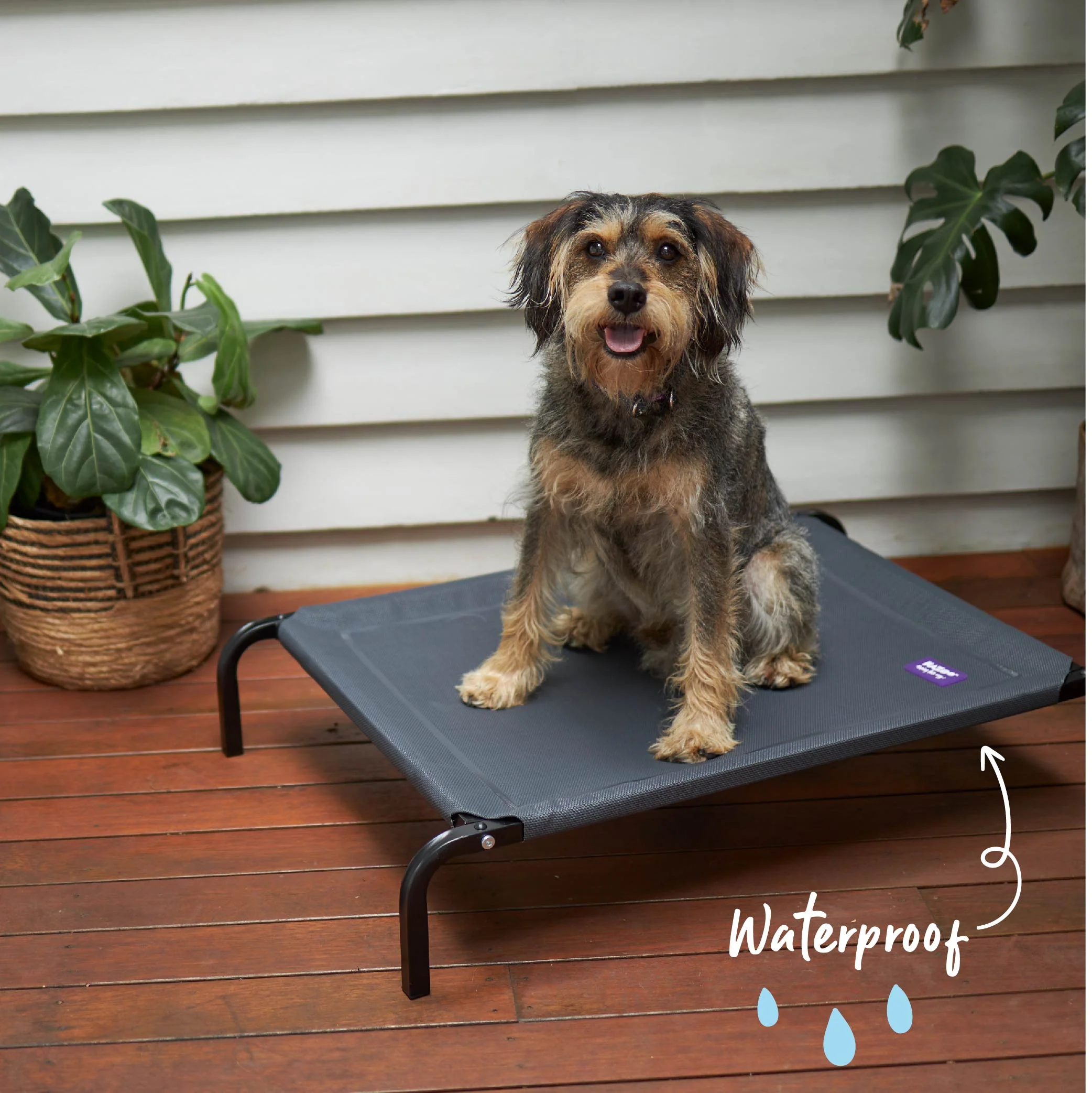 Premium Outdoor Dog Bed - Charcoal - Image 4