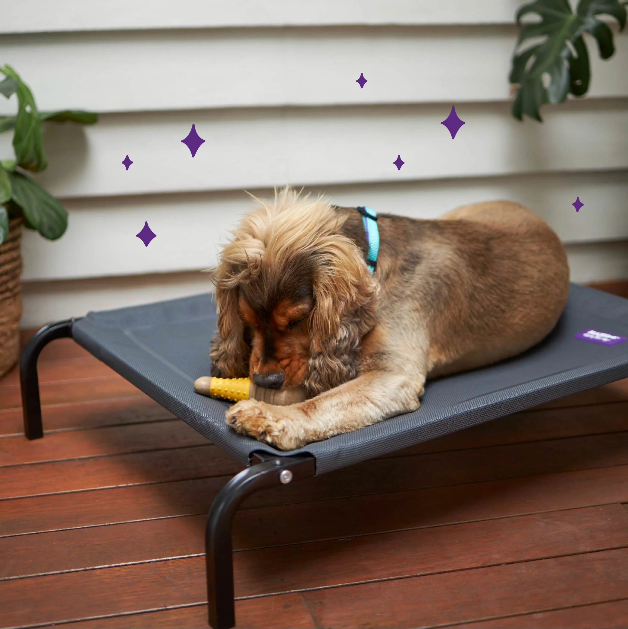 Premium Outdoor Dog Bed - Charcoal - Image 6