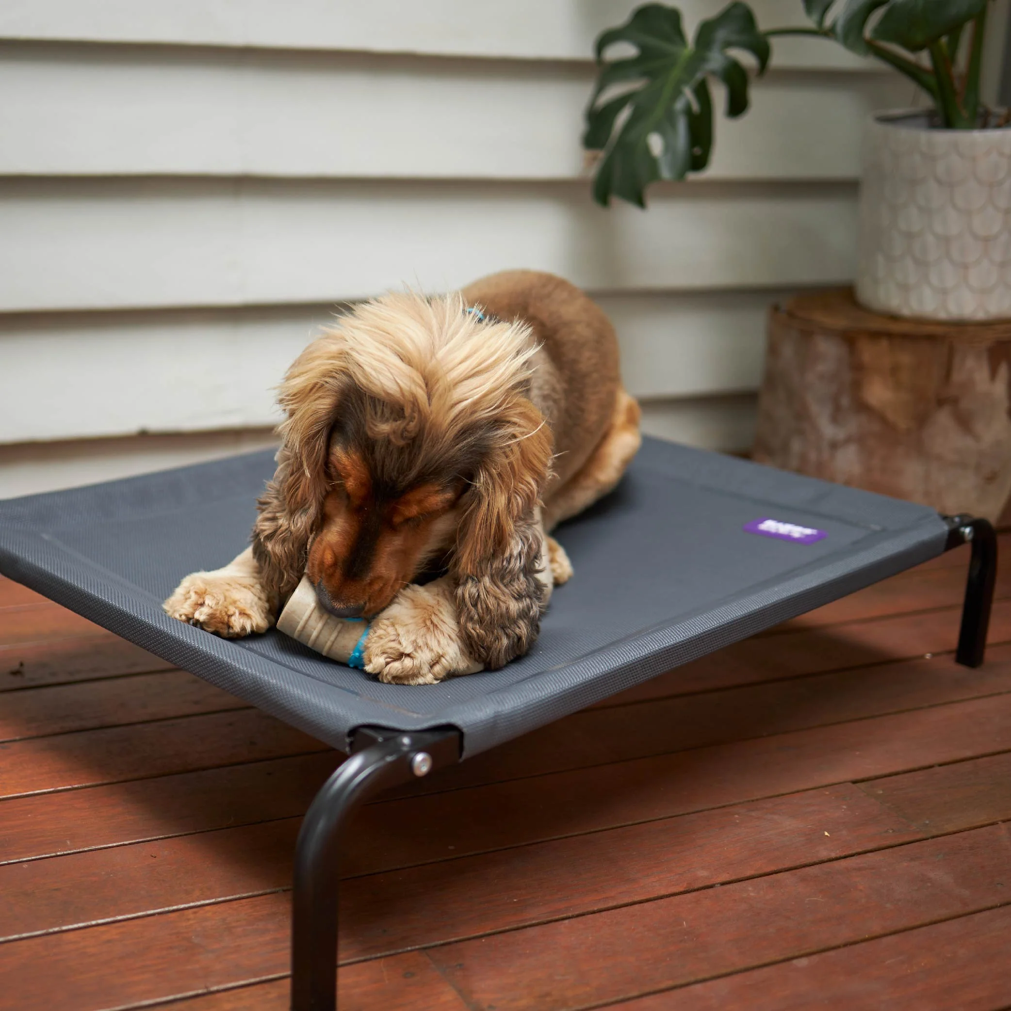 Premium Outdoor Dog Bed - Charcoal - Image 8