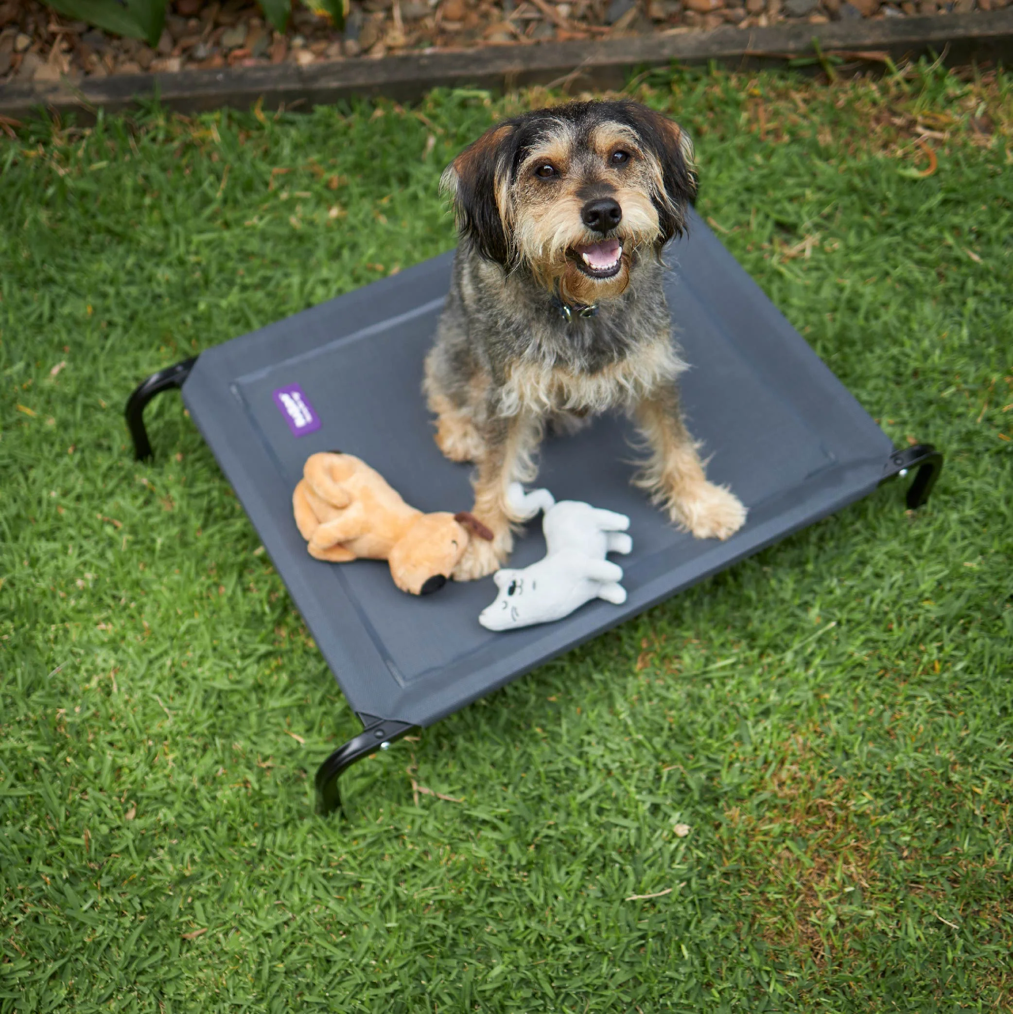 Premium Outdoor Dog Bed Replacement Cover - Charcoal - Image 4