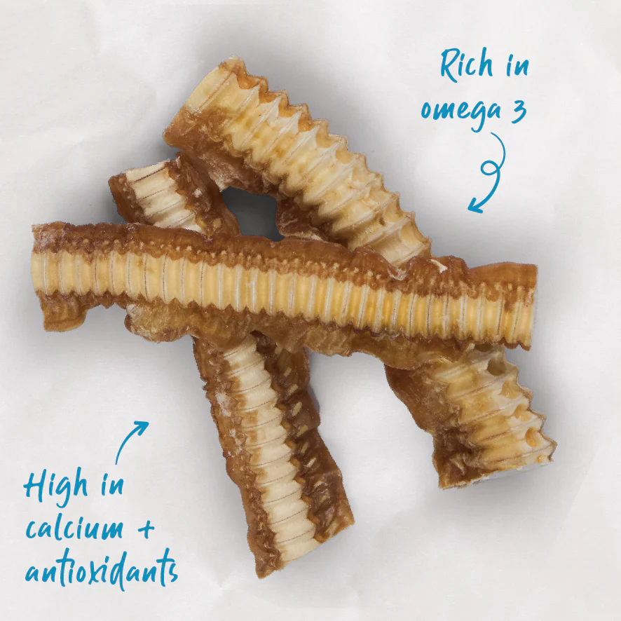 Aussie Shark Cartilage Value Pack - 1kg - Image 8