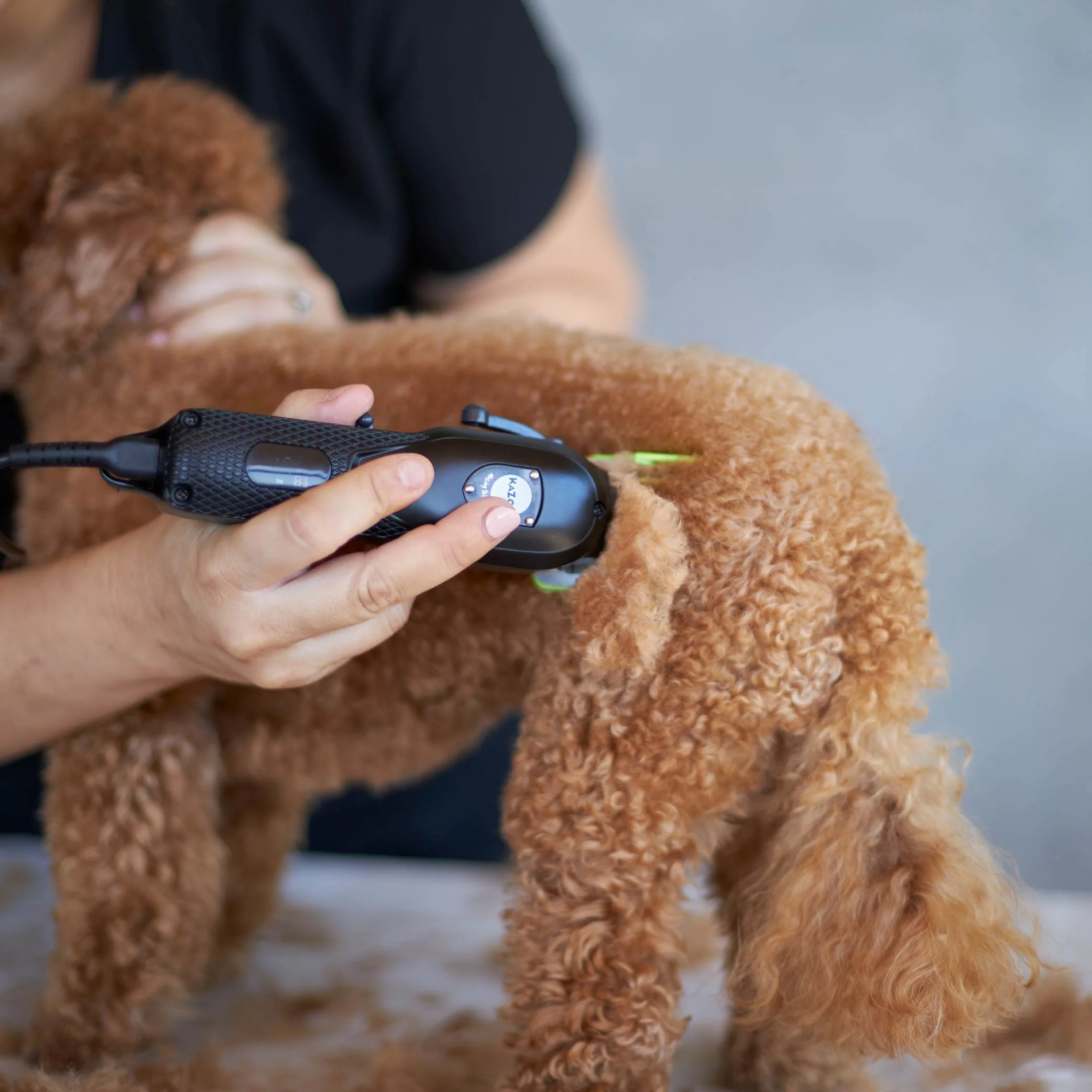 Pro Clip Cordless Metal Dog Clipper - Image 5