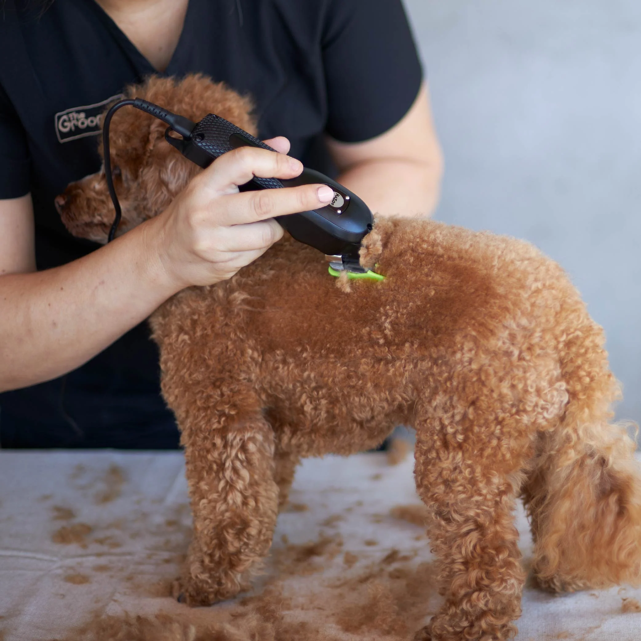 Pro Clip Cordless Metal Dog Clipper - Image 6