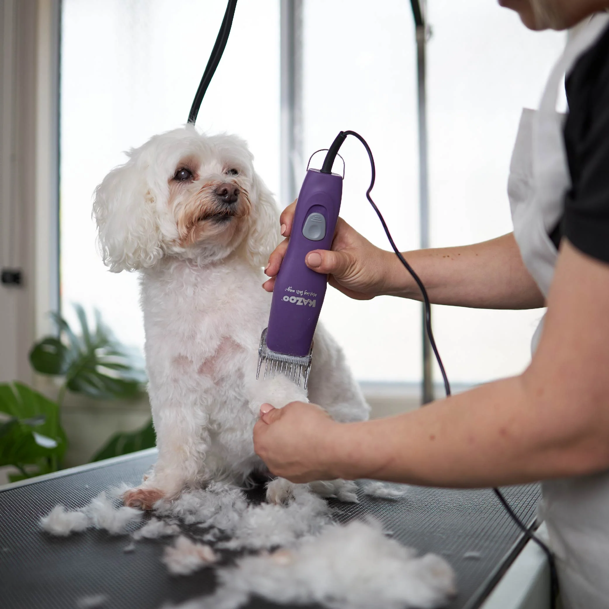 Pro Plus Brushless Dog Clipper - Image 10