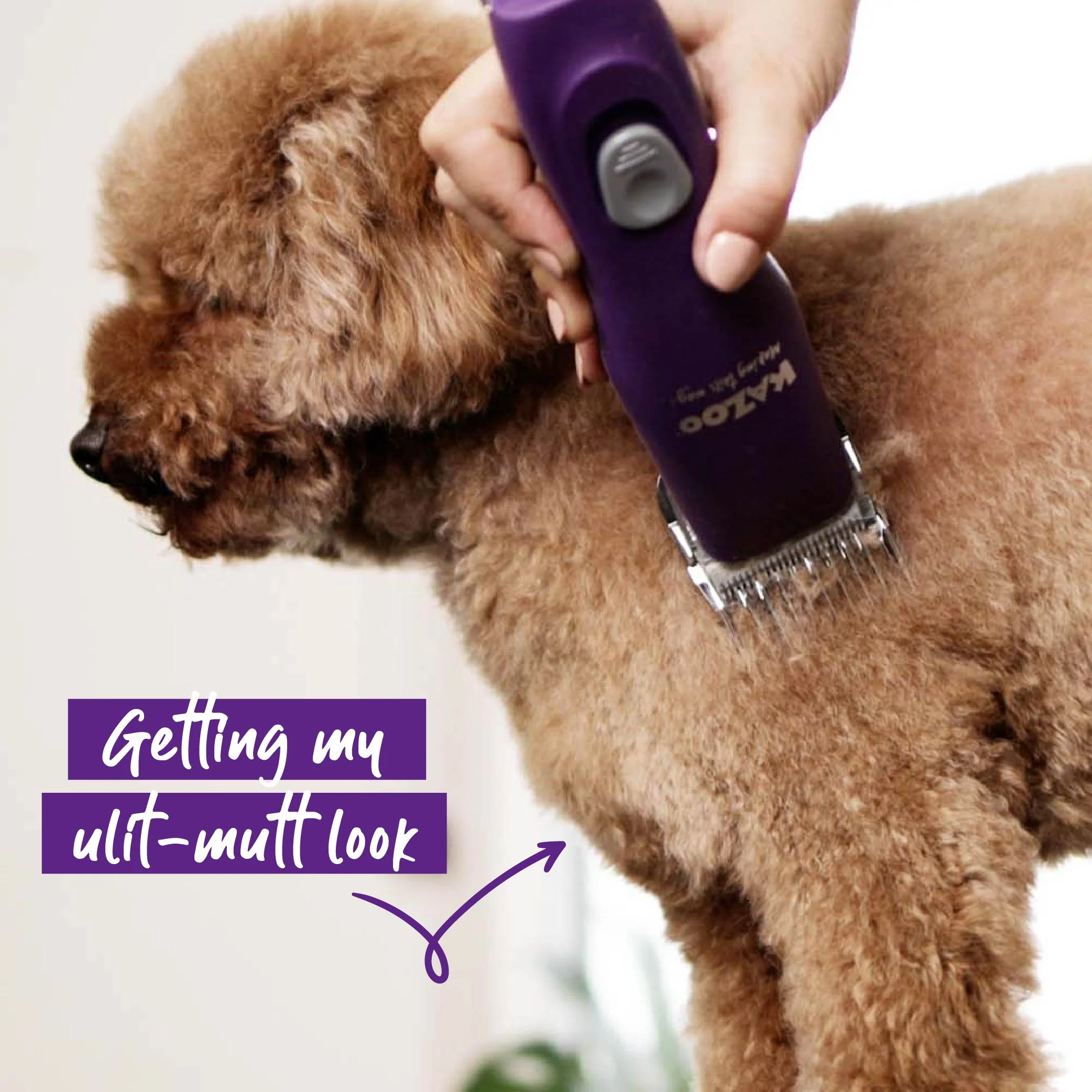 Pro Plus Brushless Dog Clipper - Image 4