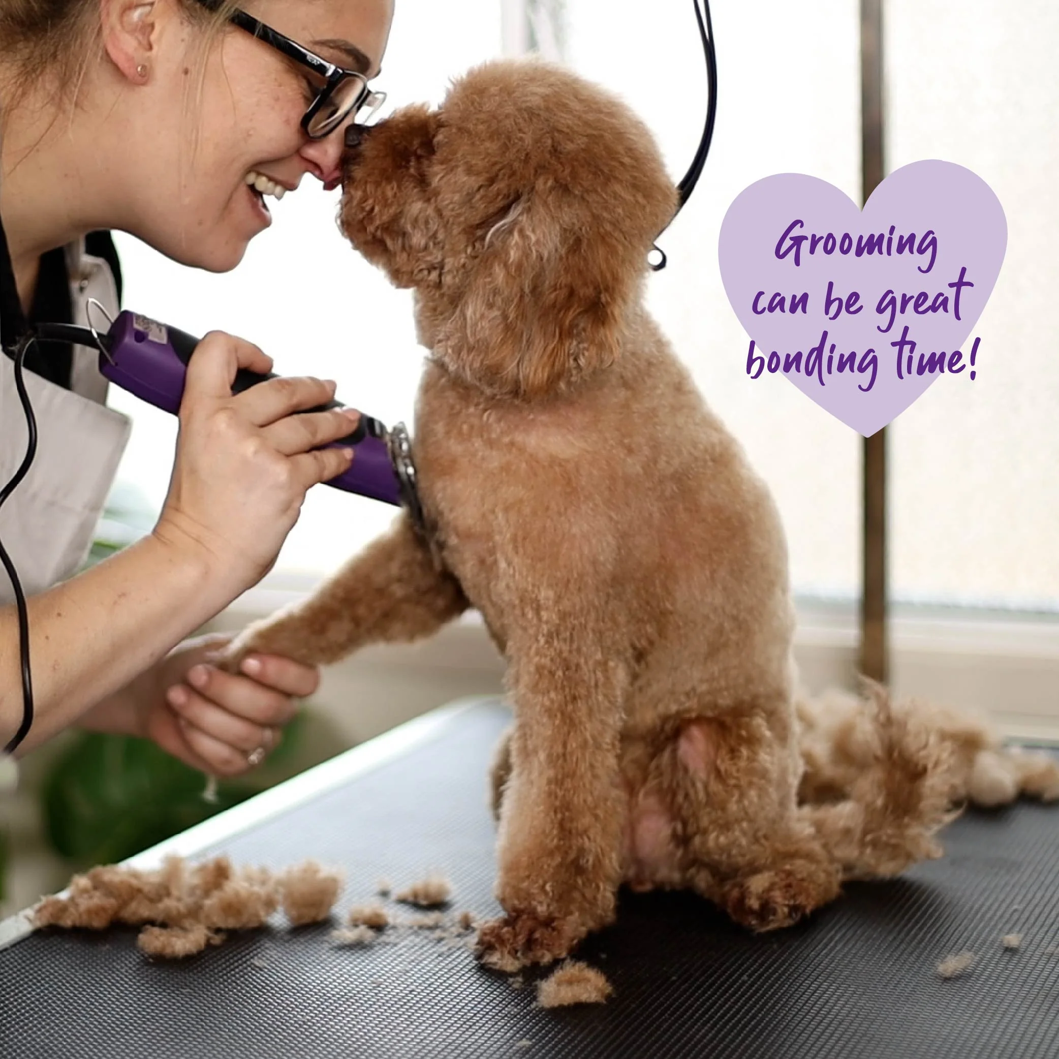 Pro Plus Brushless Dog Clipper - Image 5