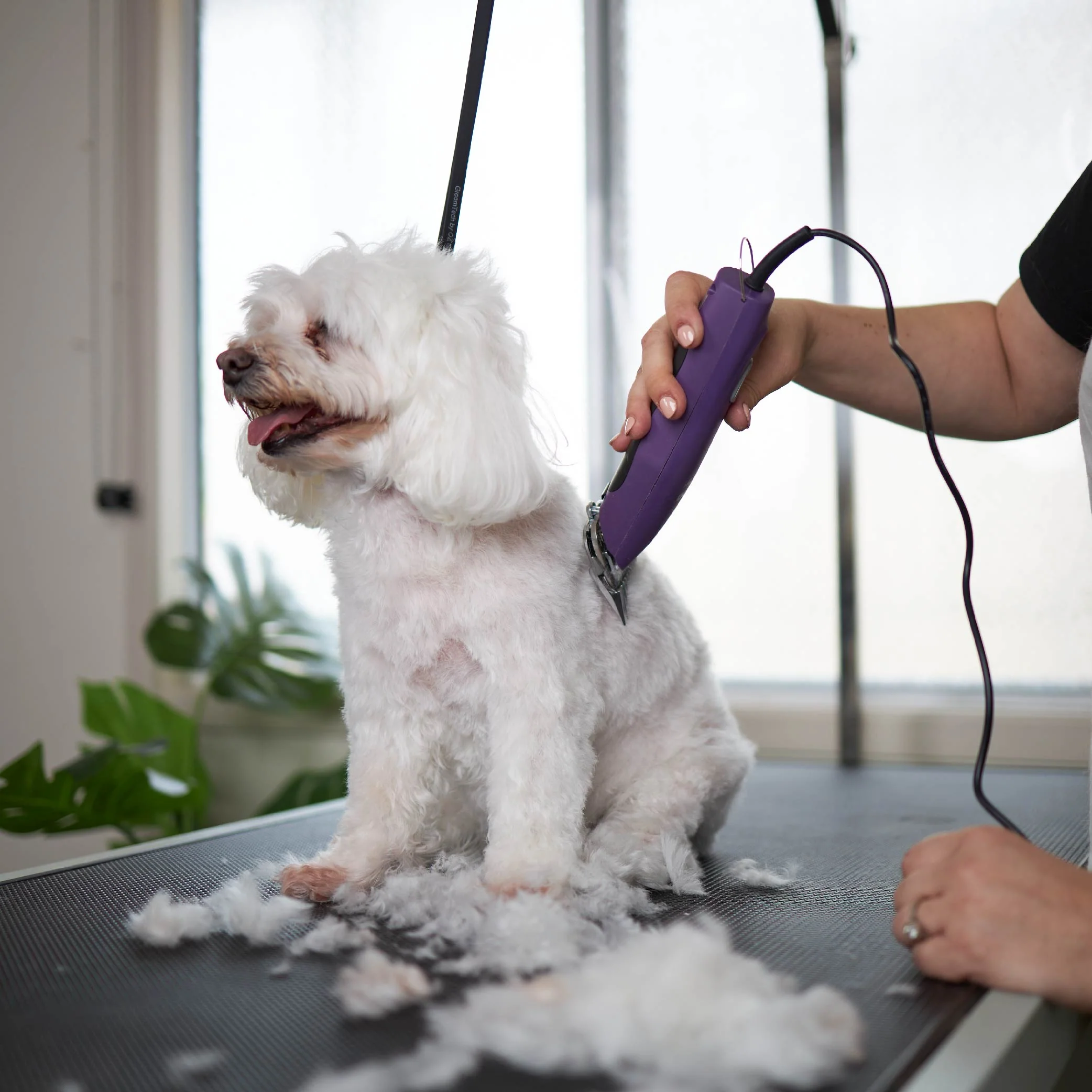 Pro Plus Brushless Dog Clipper - Image 9