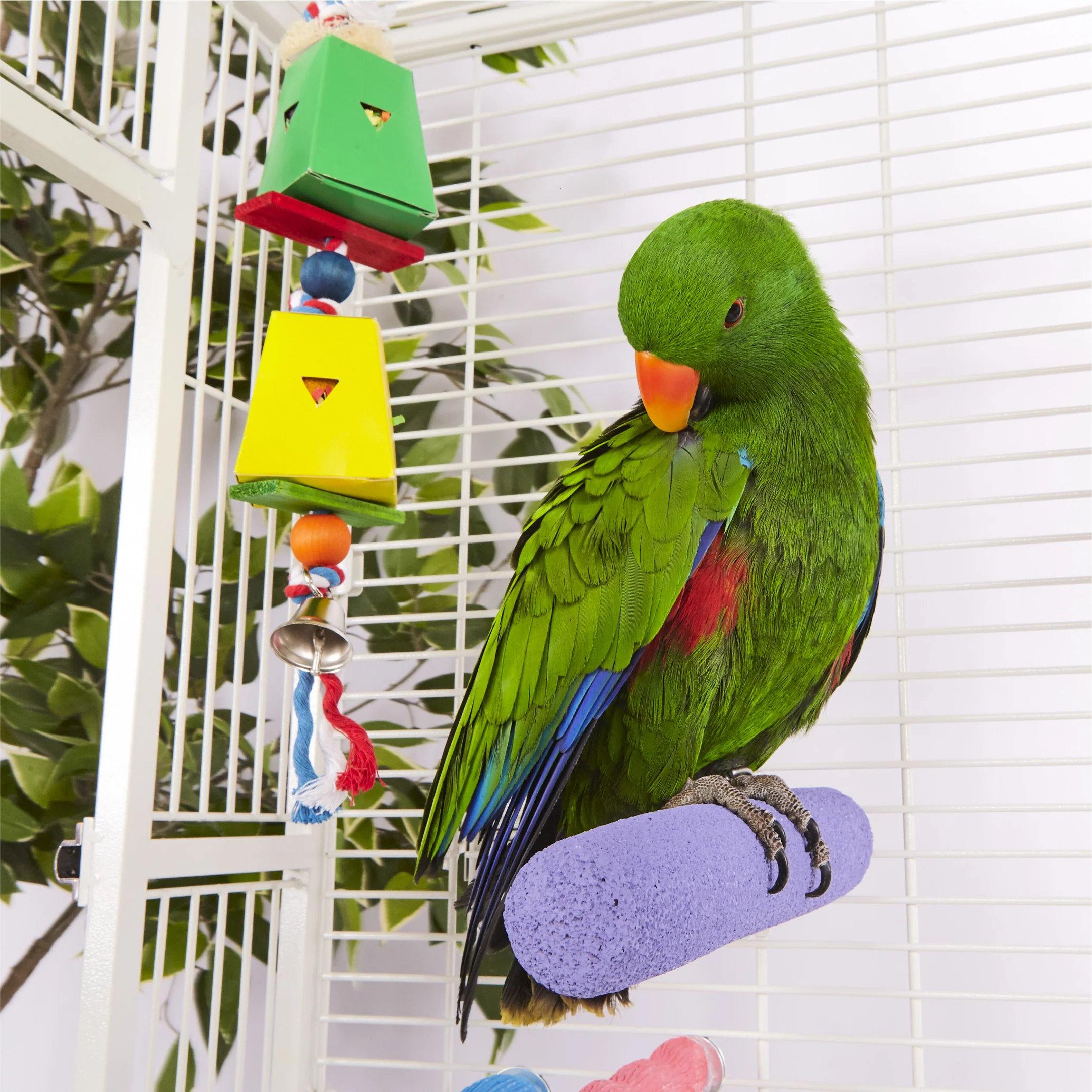 Pumice Bird Perch - Image 4