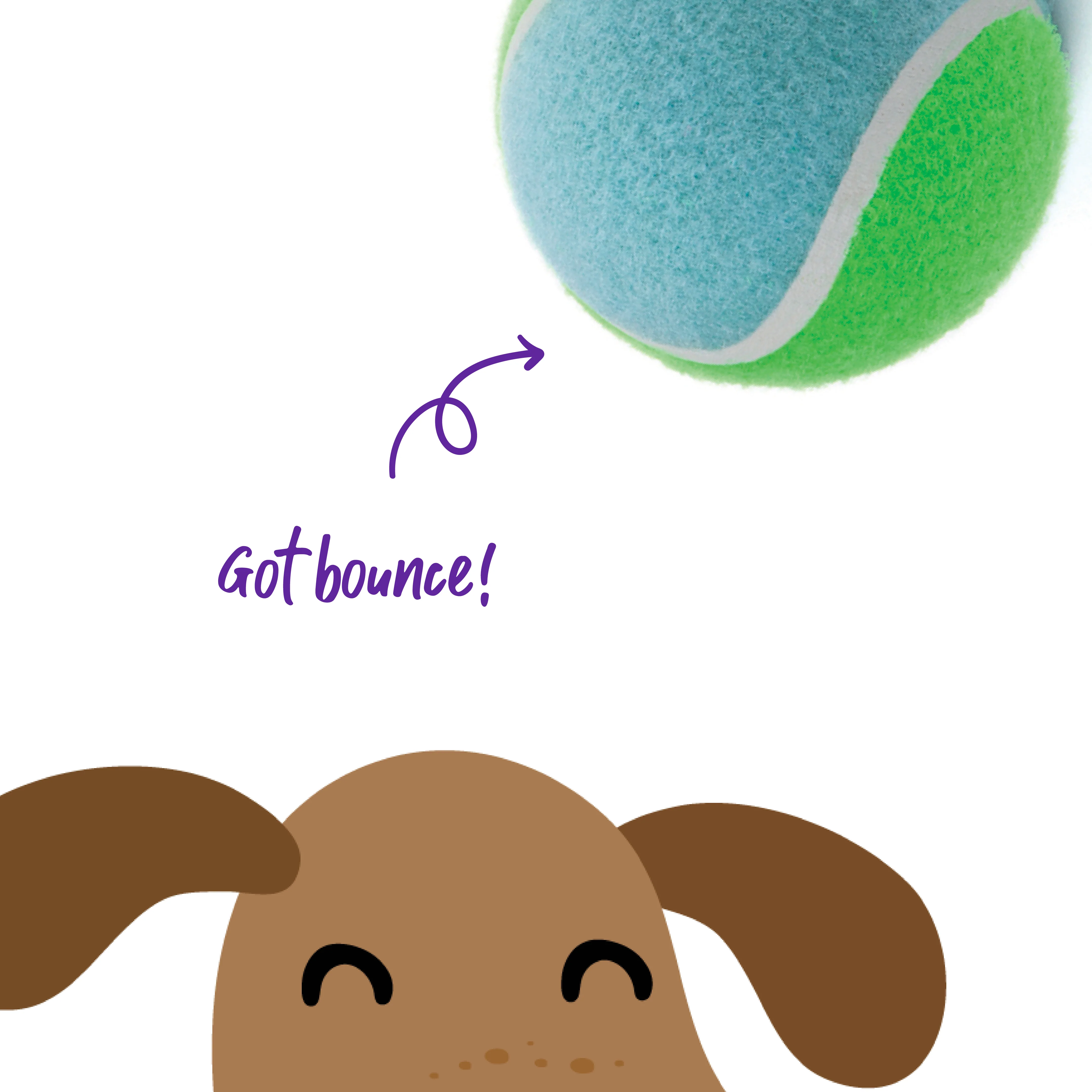 Puncture Proof Tennis Ball Dog Toy - Image 7