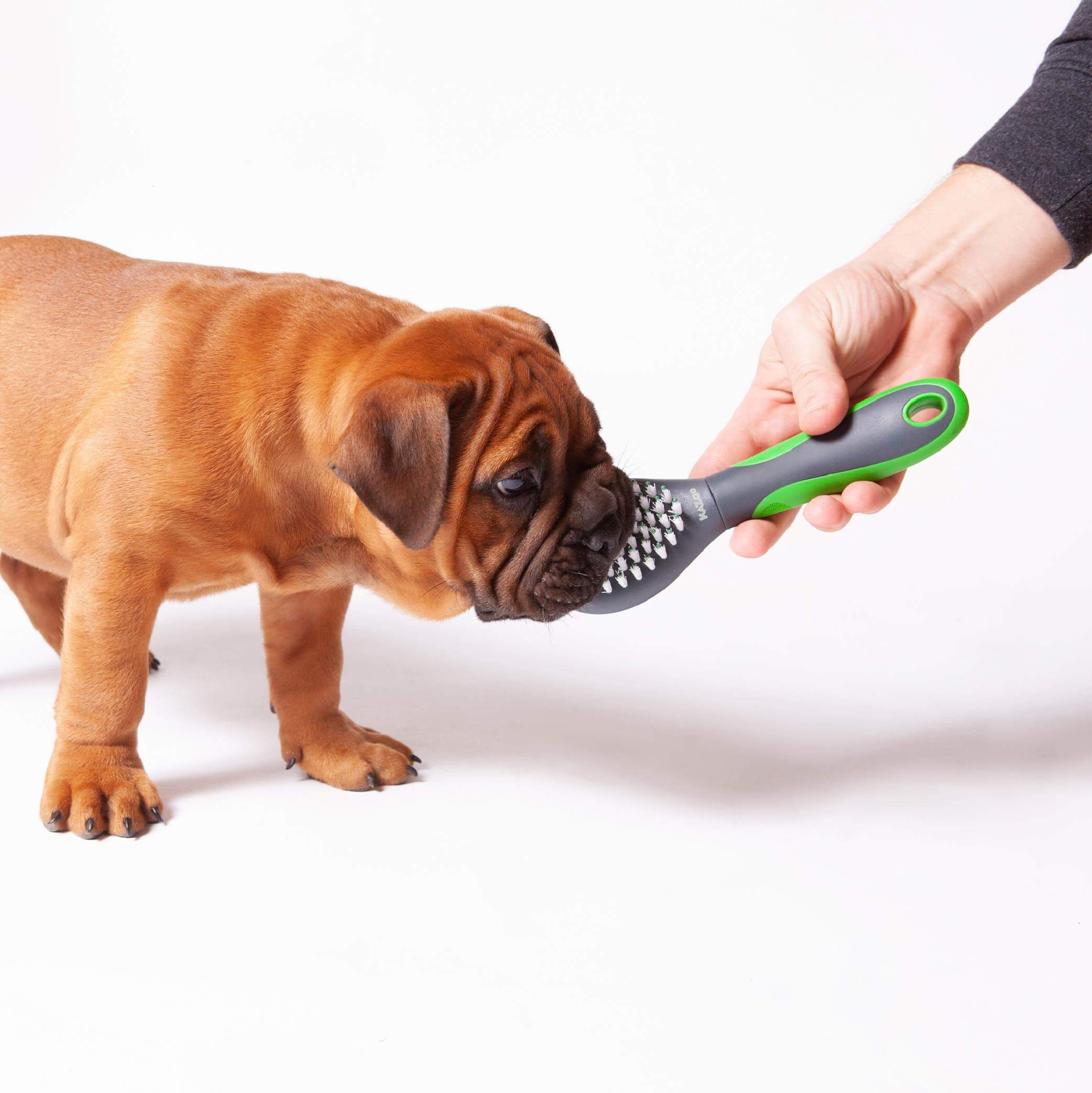 Puppy Brush - Image 4
