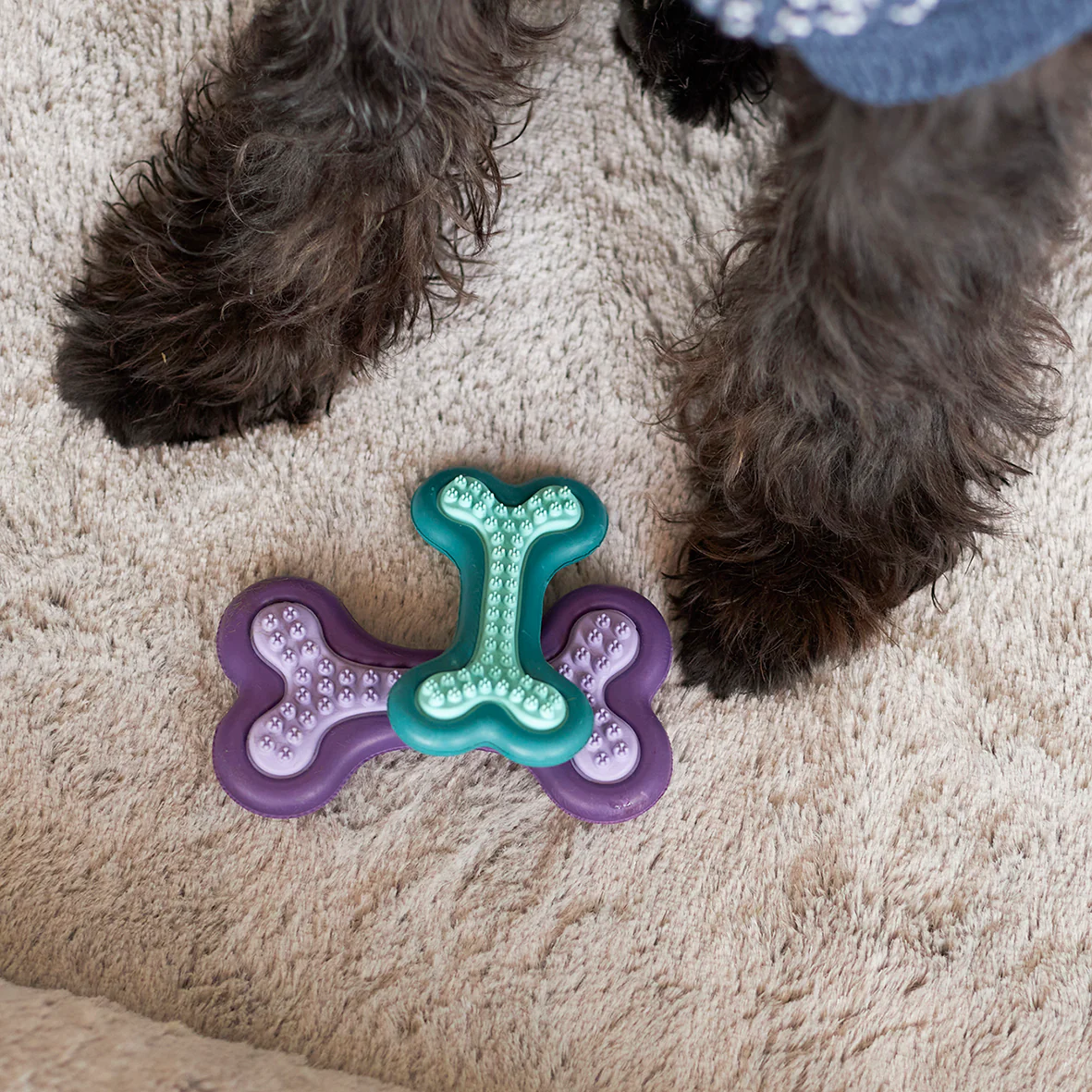 Puppy Teether Dog Toy - Image 2