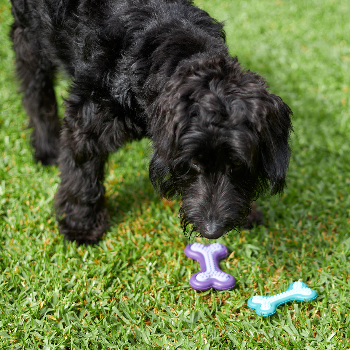 Puppy Teether Dog Toy - Image 4