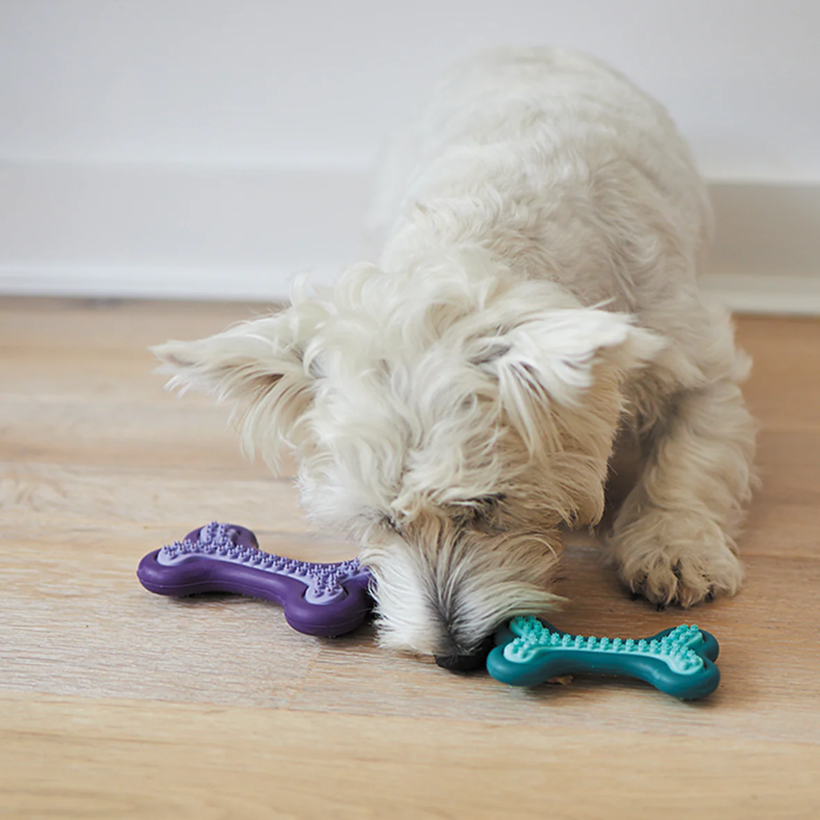 Puppy Teether Dog Toy - Image 6