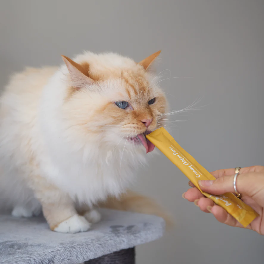 Purrfect Puree Cat Treat - Chicken - Image 6