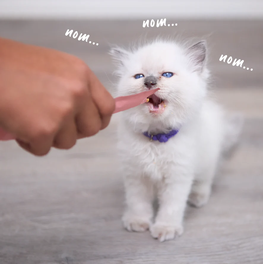 Purrfect Puree Cat Treat - Salmon - Image 7