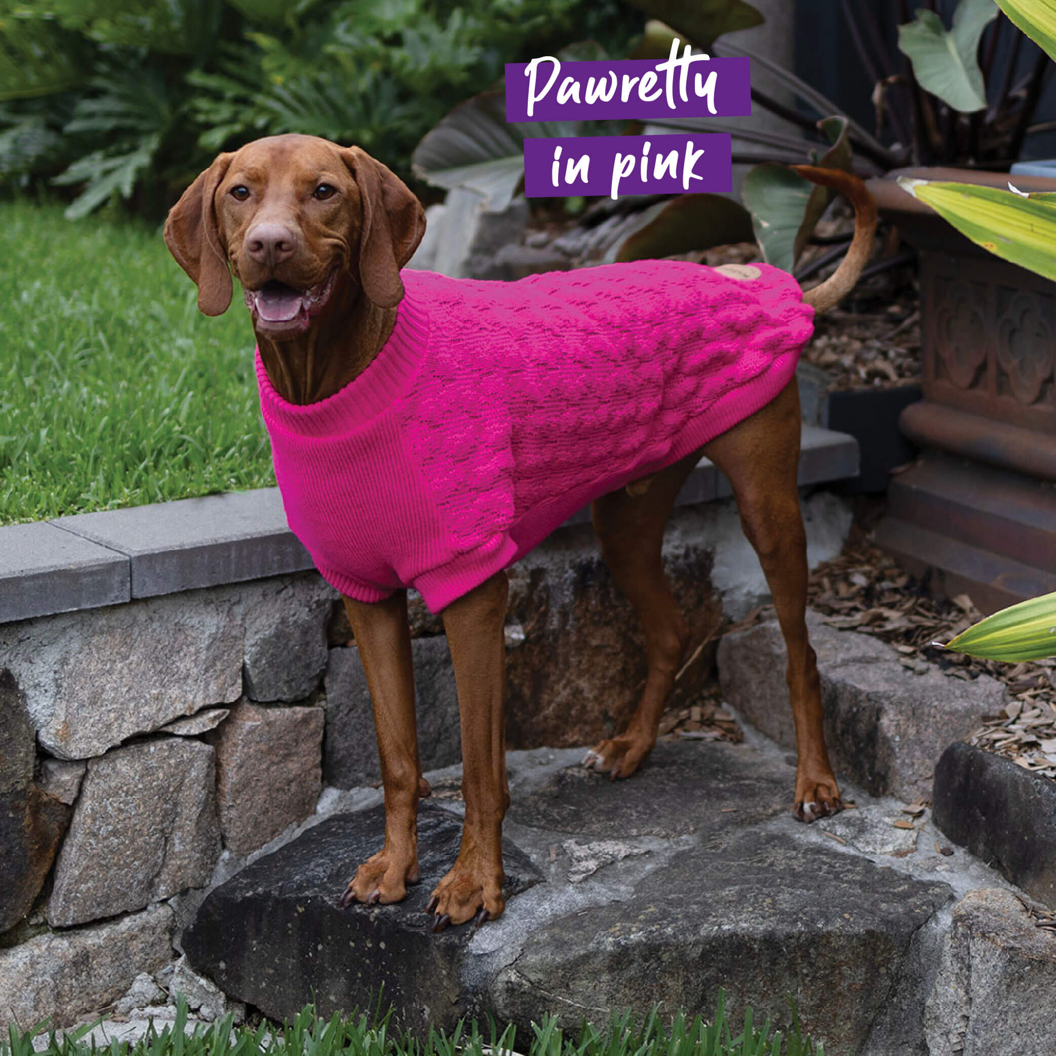 Raspberry Pink Dog Jumper - Image 5
