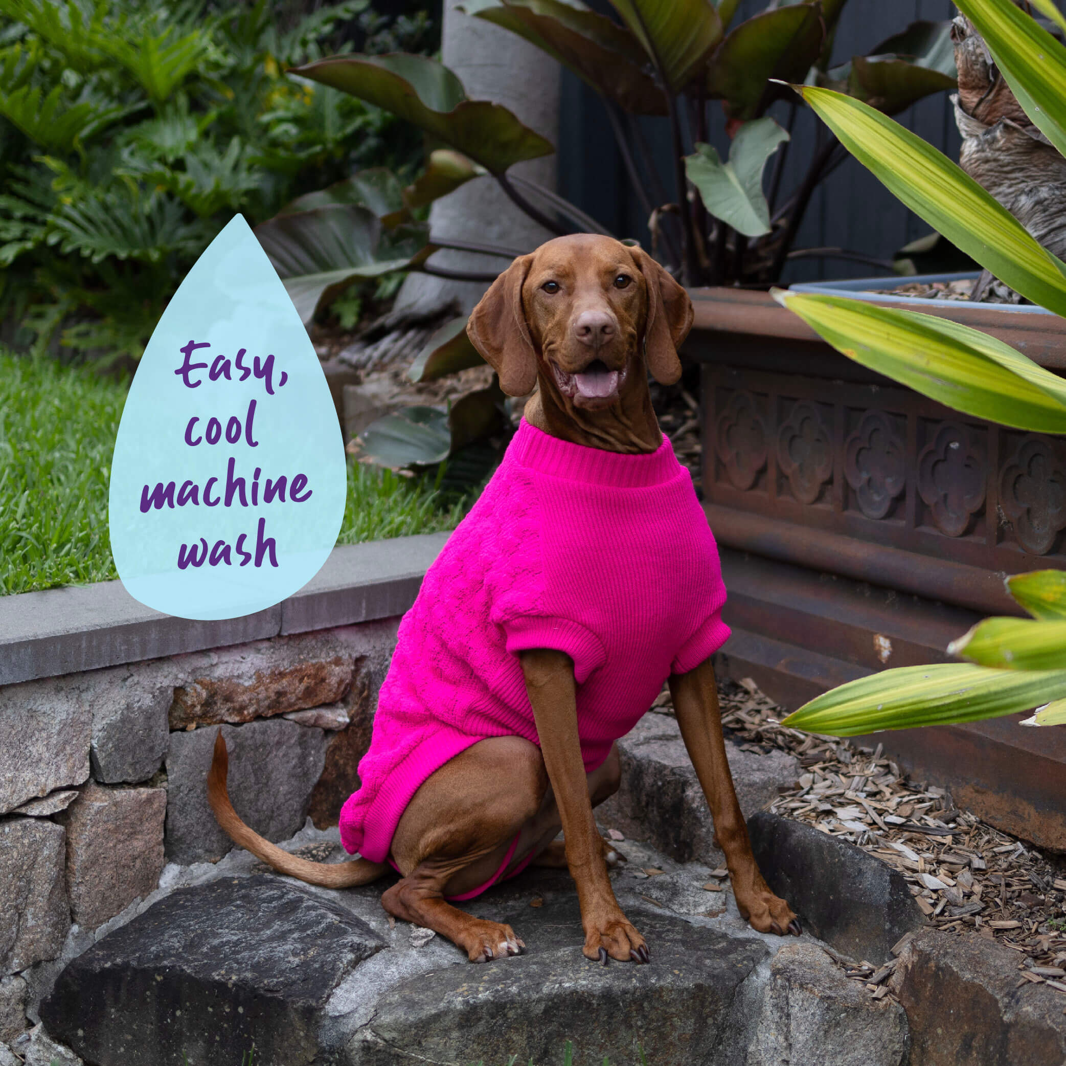 Raspberry Pink Dog Jumper - Image 6