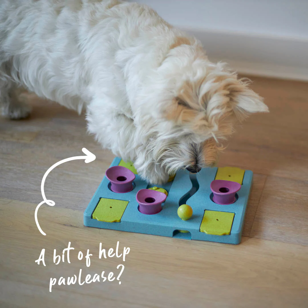 Rectangle Rumble Interactive Puzzle Cat Toy - Image 5