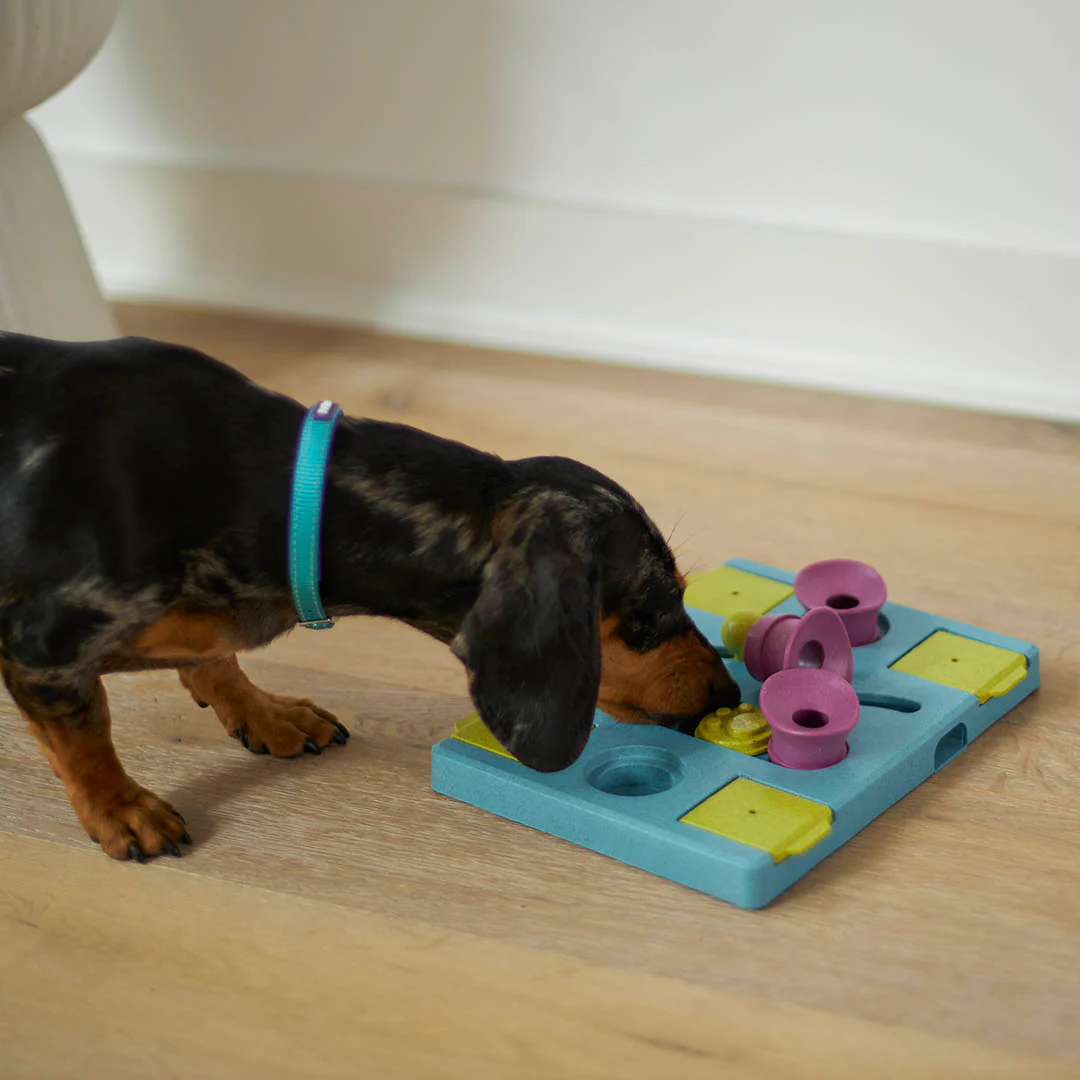 Rectangle Rumble Interactive Puzzle Dog Toy - Image 10