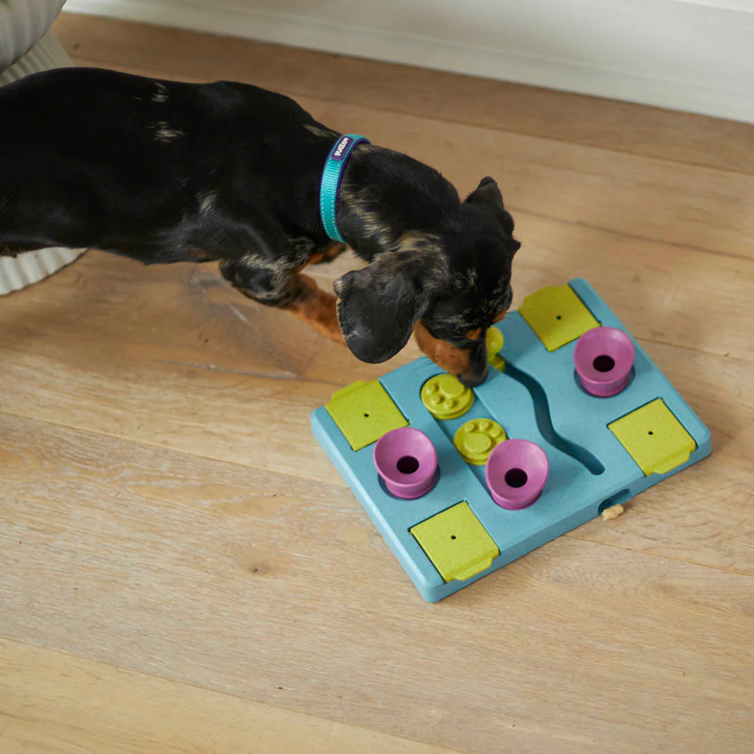 Rectangle Rumble Interactive Puzzle Dog Toy - Image 11