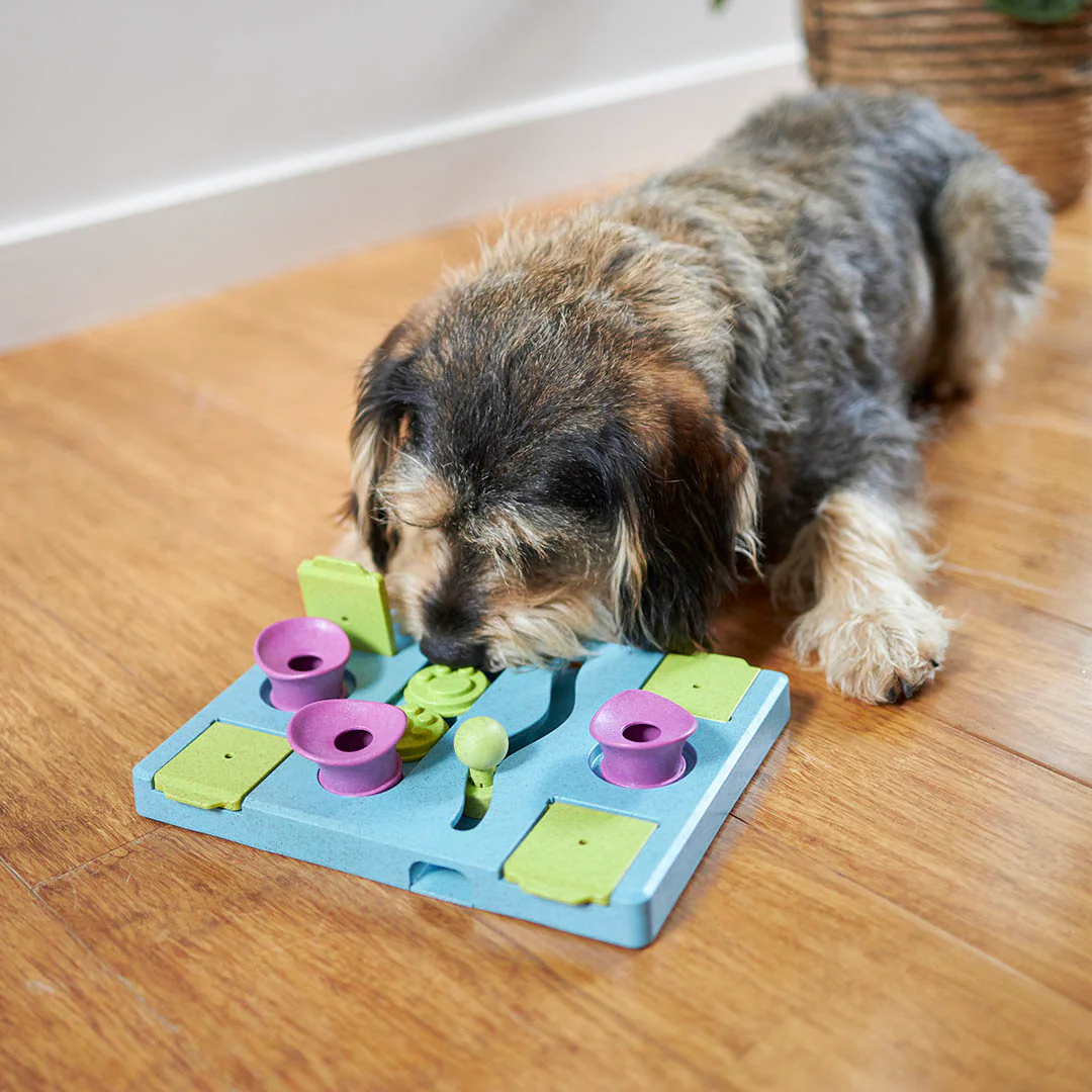Rectangle Rumble Interactive Puzzle Dog Toy - Image 5