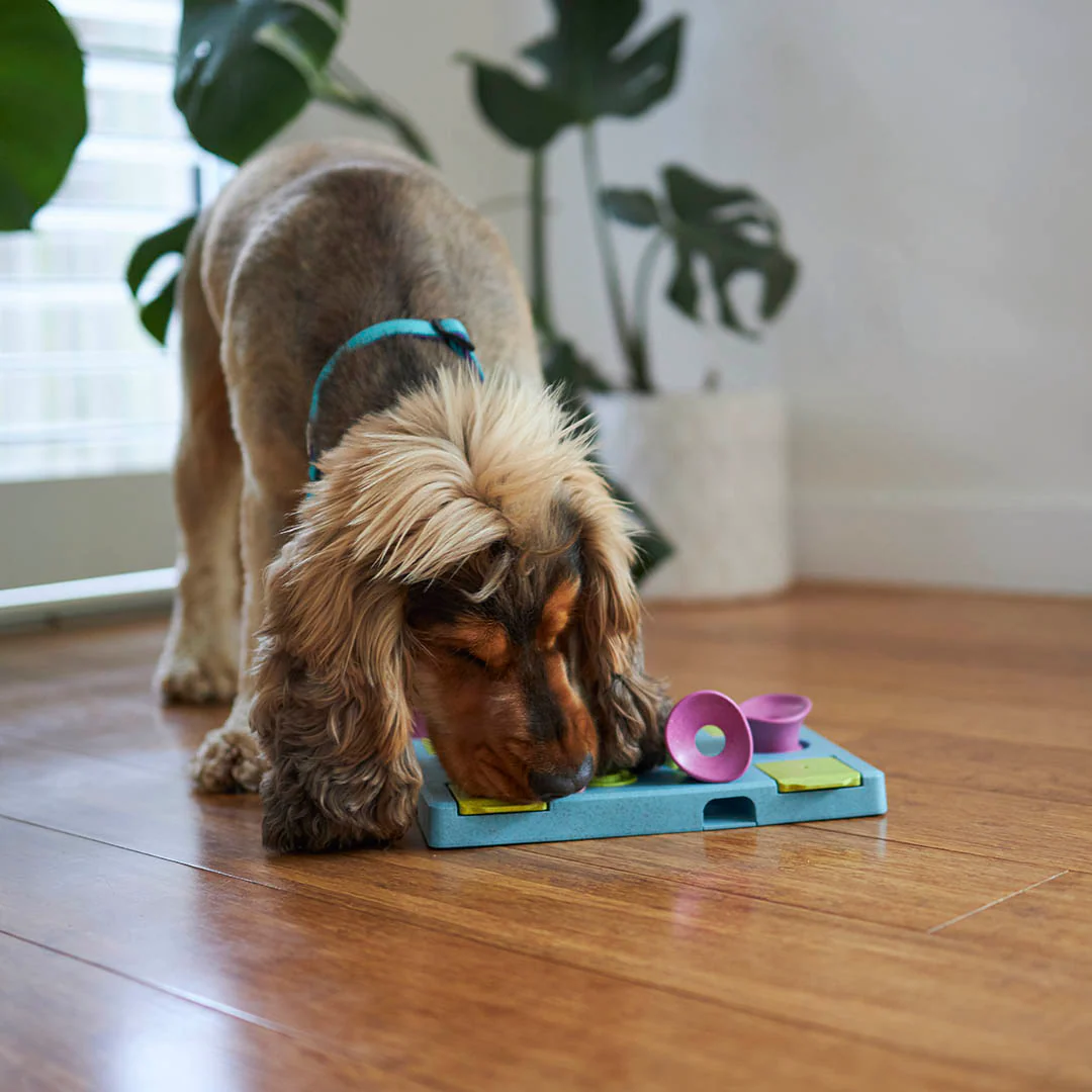 Rectangle Rumble Interactive Puzzle Dog Toy - Image 9